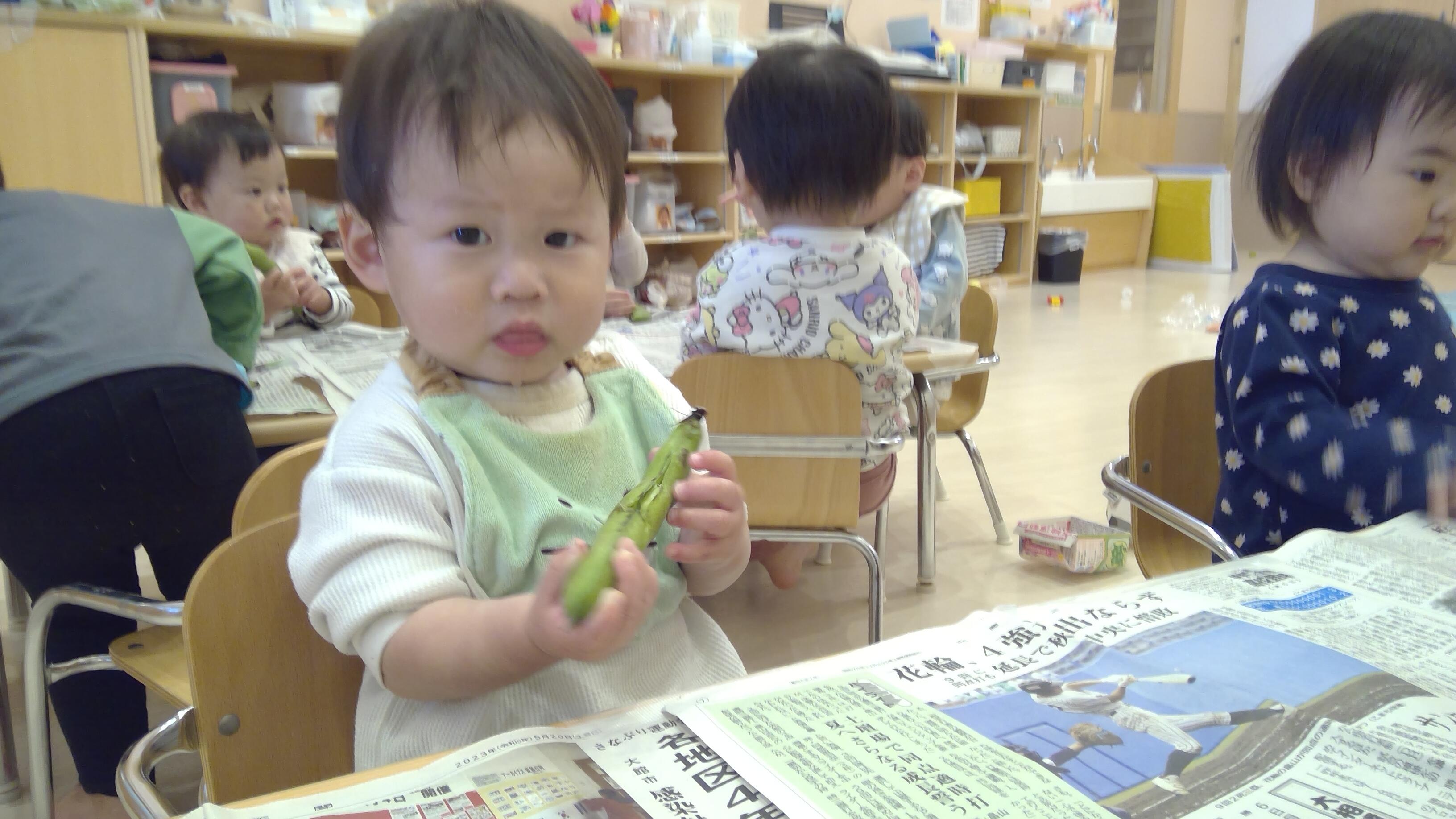 むけてきた！少しづつ切れ目が出来ていたよ！