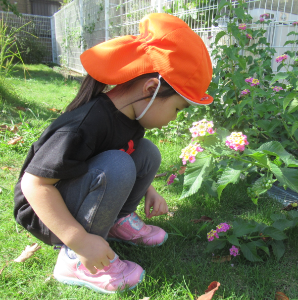 このお花、何ていうのかな…？？