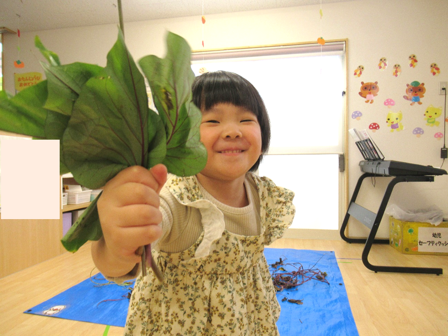 芋づるから葉っぱを取ったよ！一本の芋づるからこんなにたくさん葉っぱが取れたよ！