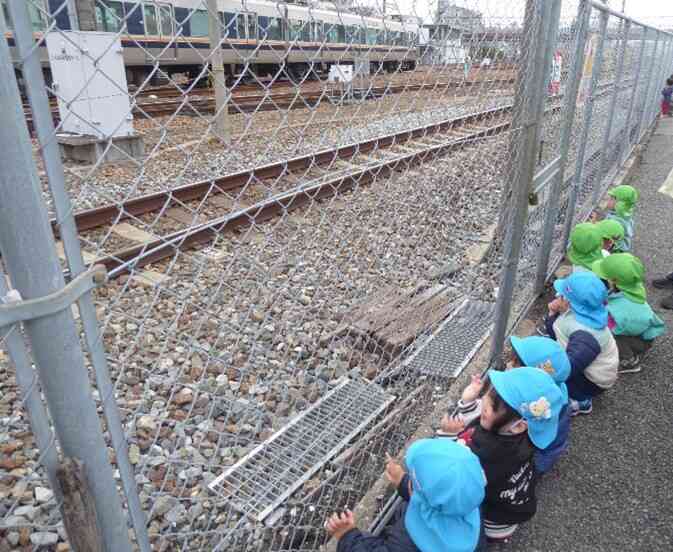 あひる組さんとうさぎ組さんで電車を見に行きました♪