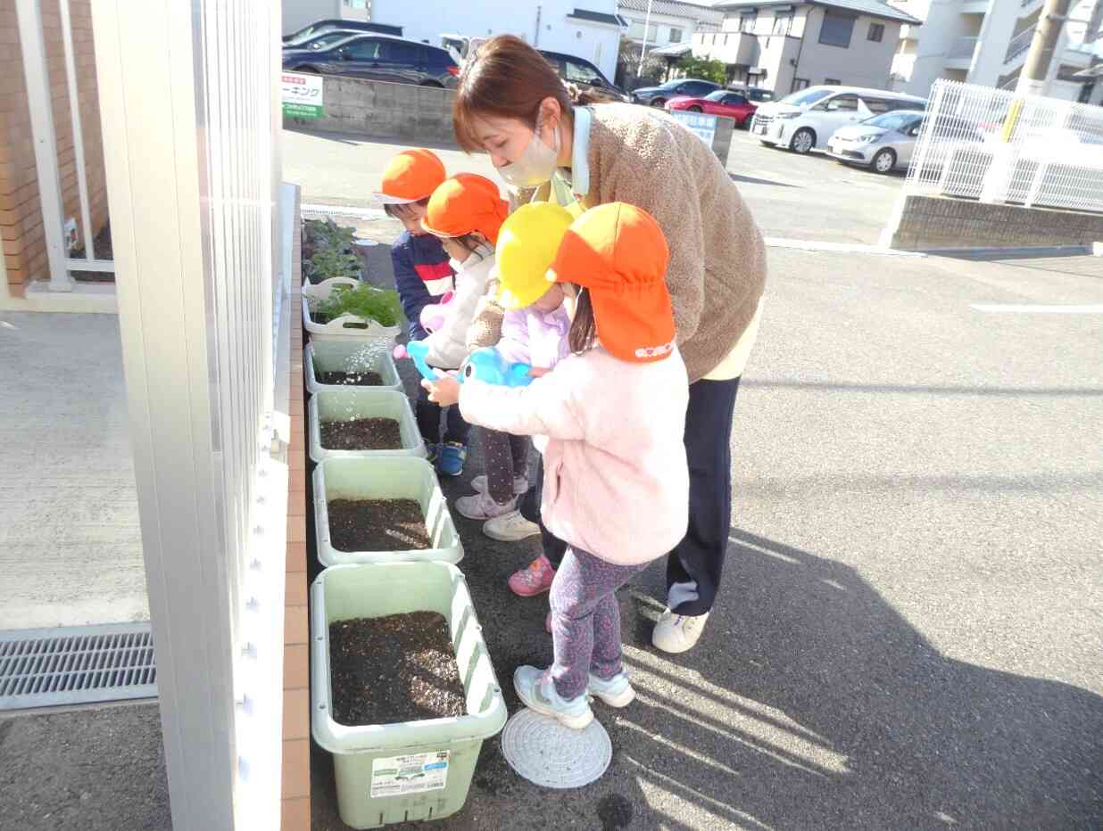 毎日お水やり頑張ろうね♪