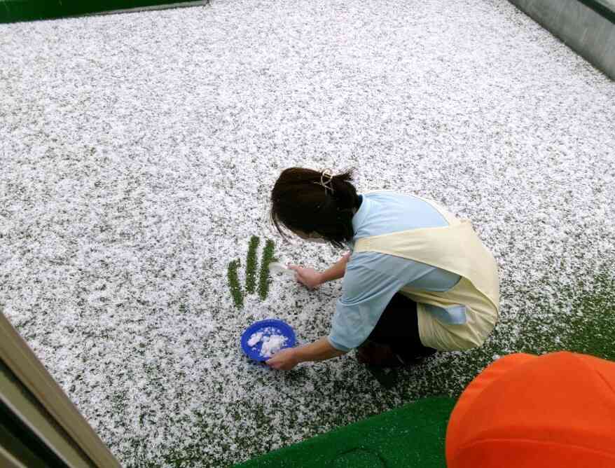 園長先生が、雪を集めてくれたよ！！