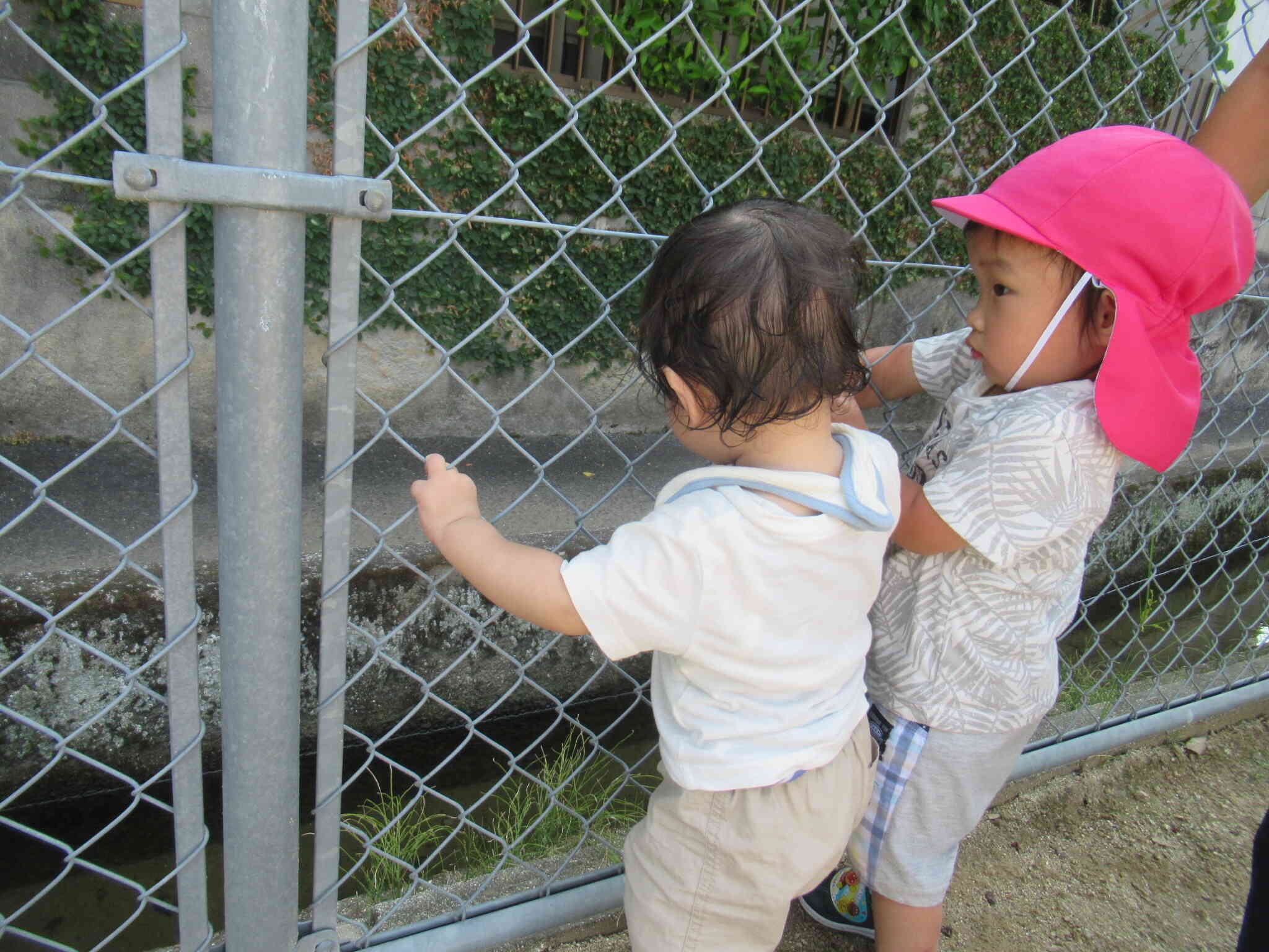 小さな川があるね 小さなお魚さんいるかなぁ？　　あ！ 葉っぱが流れてきたよ