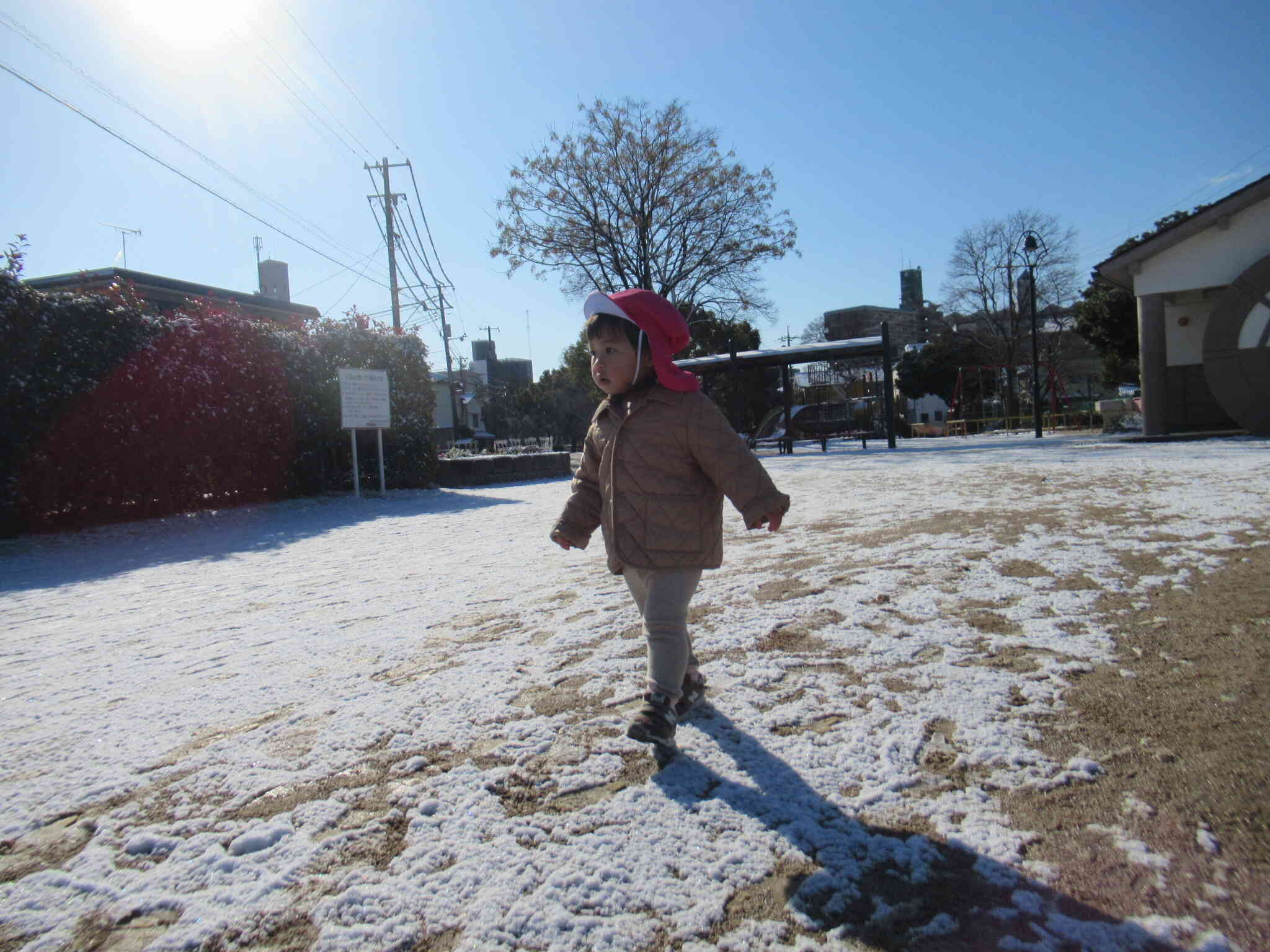 雪の中のお散歩 ...　いいね　転ばないように ゆっくりゆっくり ...　 明日も雪　降らなんかなぁ