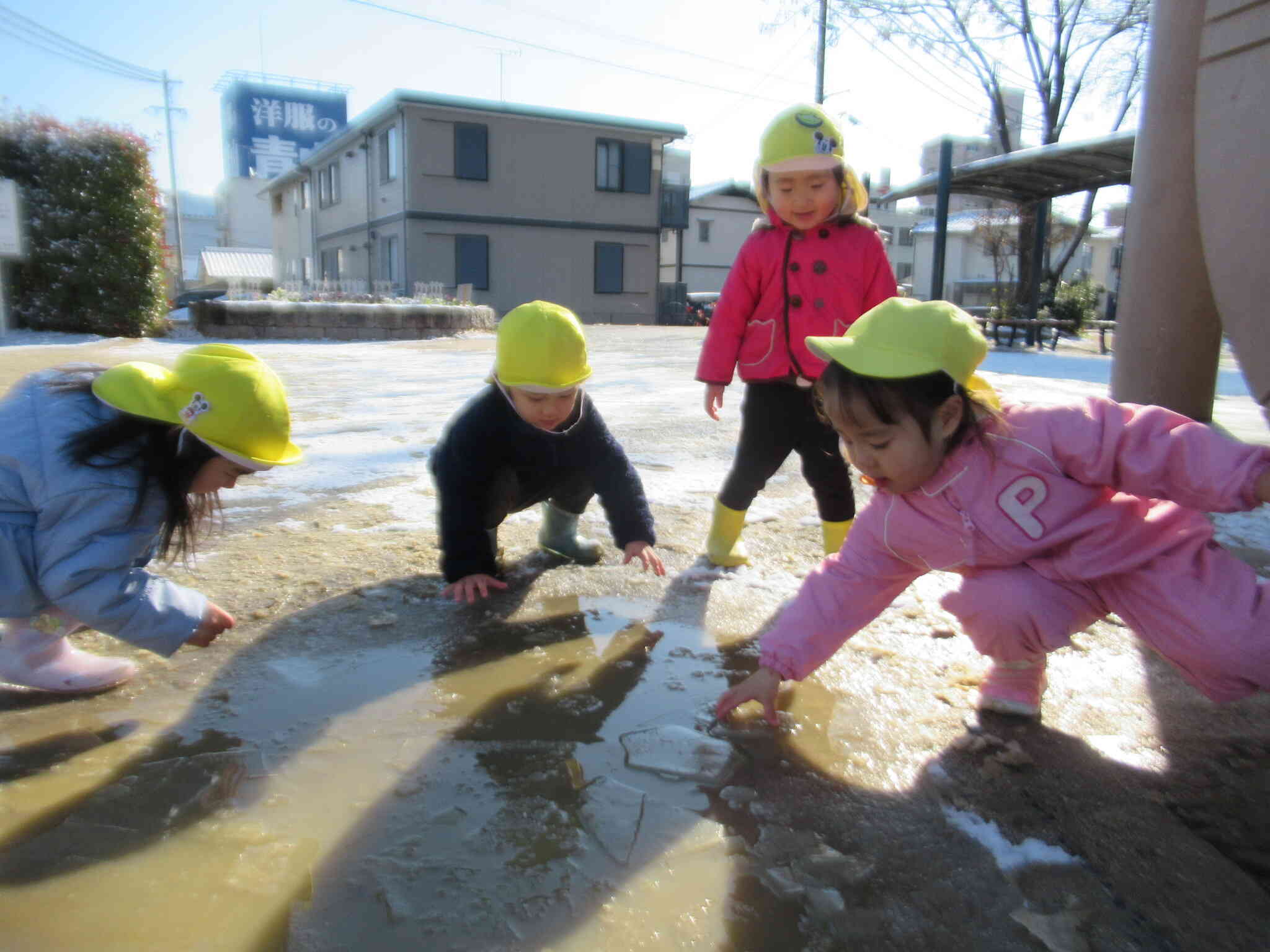 みてみてよ　 おっきい氷 みーつけた！