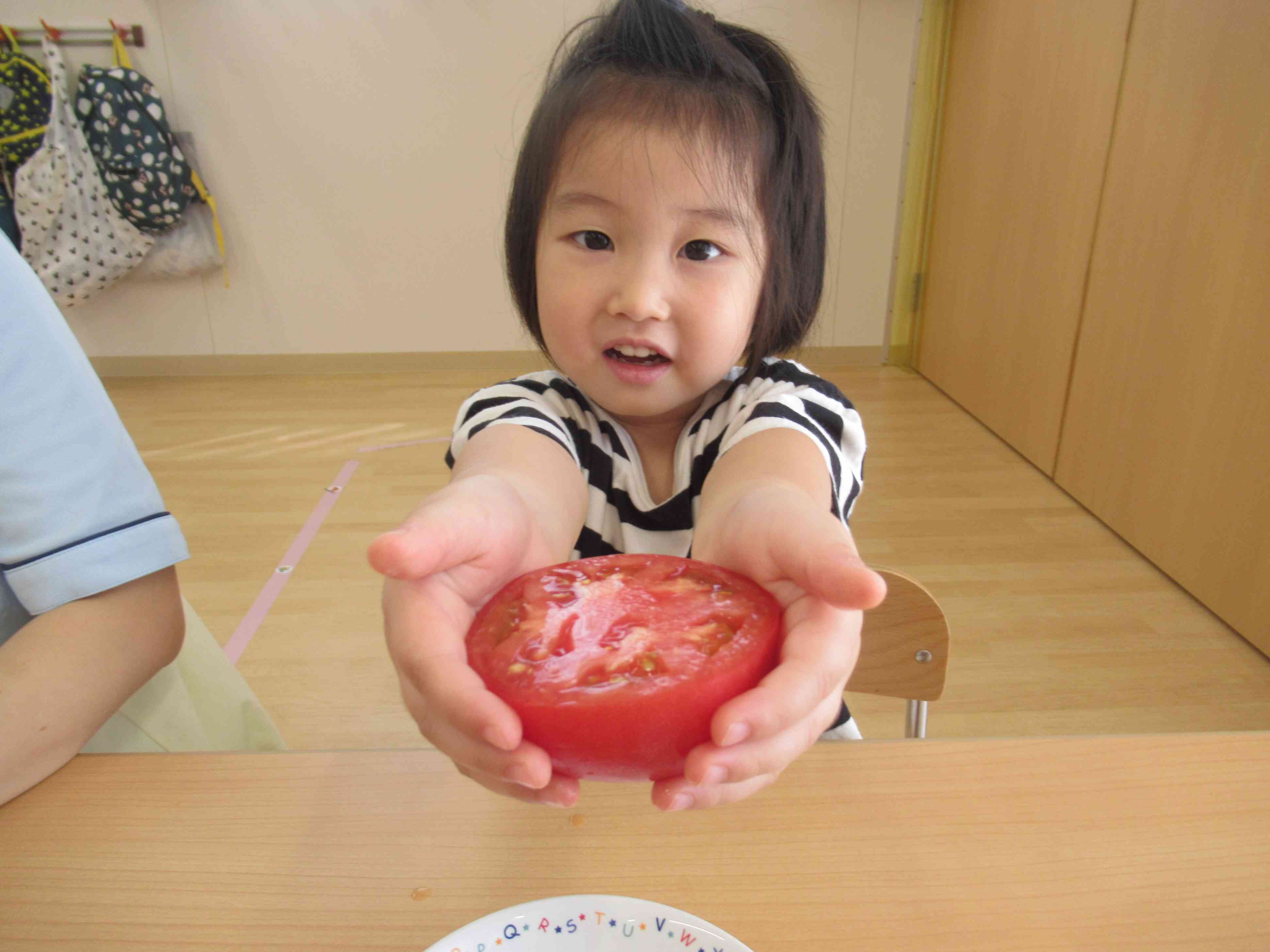 見たり触ったりして野菜のお勉強