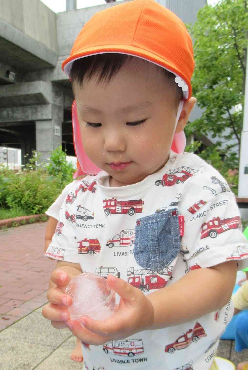 冷たい氷の感触に夢中！水の中に沈めてみたり、地面を転がしてみたり・・・暑い日に魅力的な氷はあっという間に姿を消してしまいました。