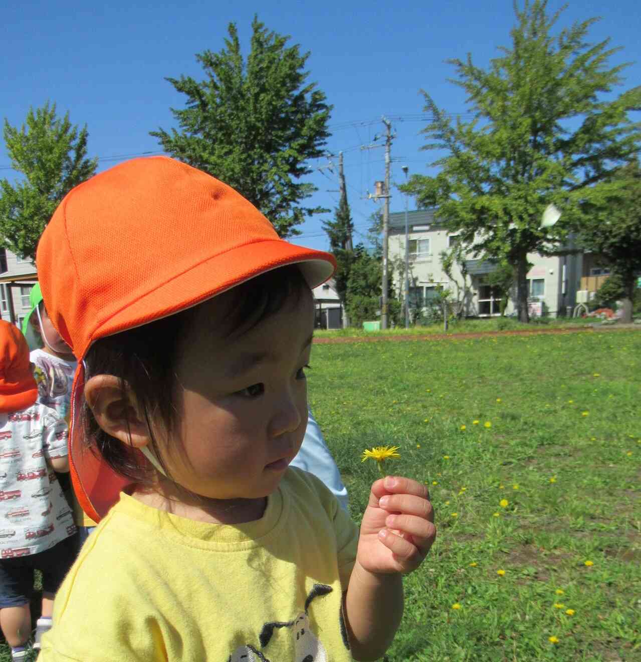 草花にも興味があって見つけると手に取って大切にしているあひる組さんです！これからの季節、たくさん素敵なものに出会えるでしょう♪