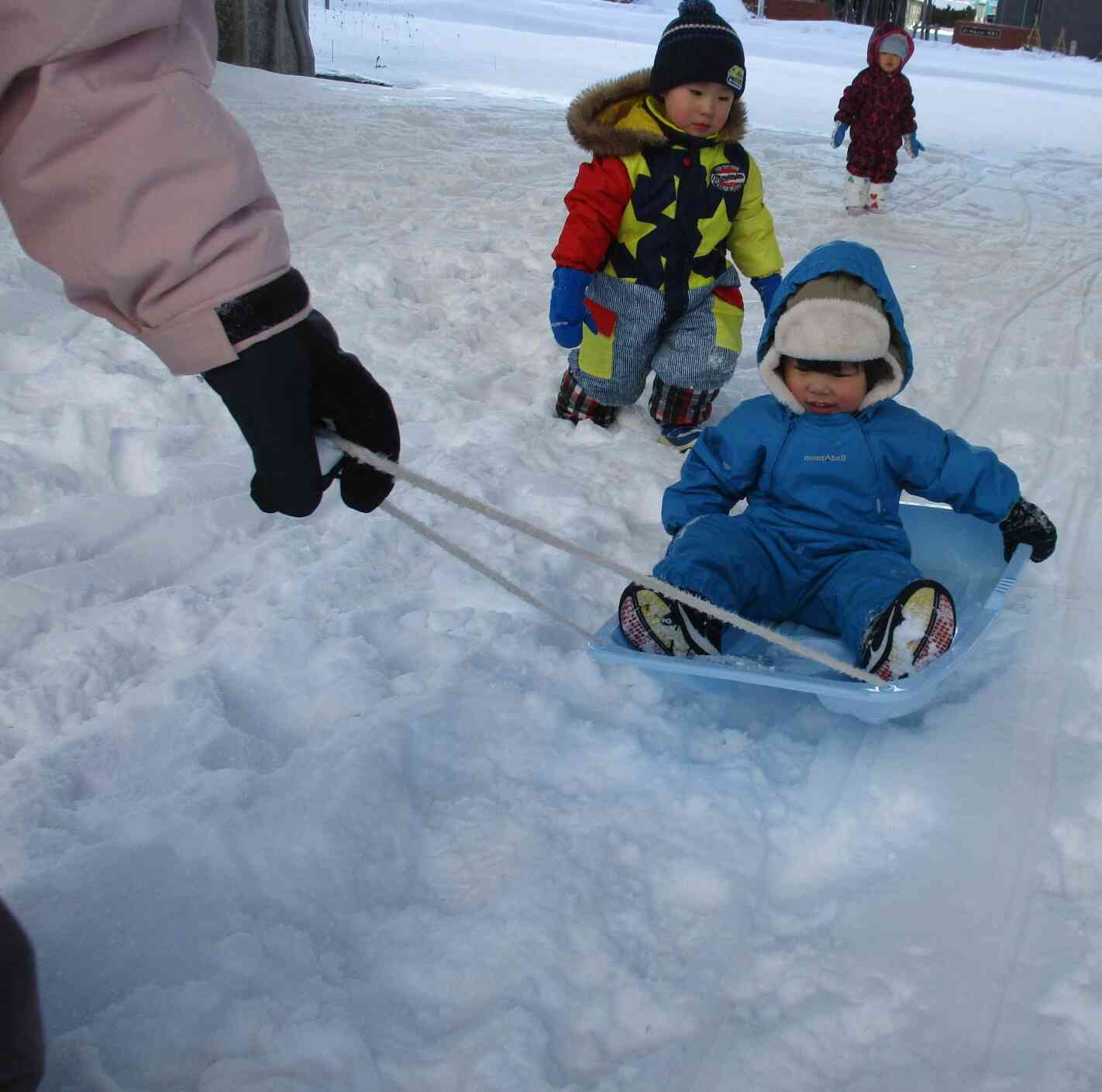 保育士やお友だちに雪の上を引いてもらって進むそりあそびはみんなが大好きです♪その日の雪質によって、そりの滑りもそりから伝わる振動も違うので楽しいようです。