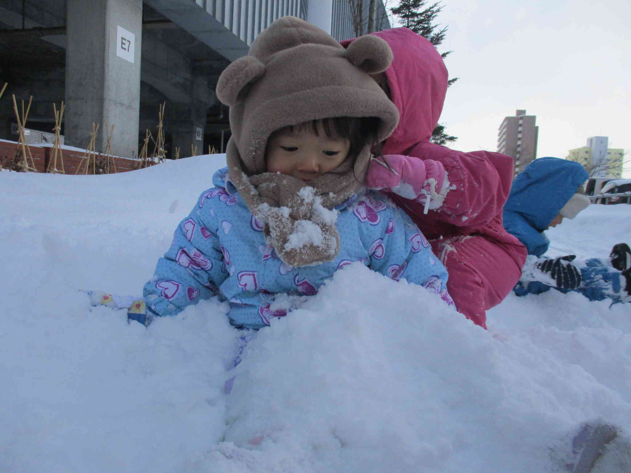 ふわふわの新雪の感触を楽しんでいました！足が雪に埋まっても平気！「ふわふわ～♪」と感触を喜んでいました。