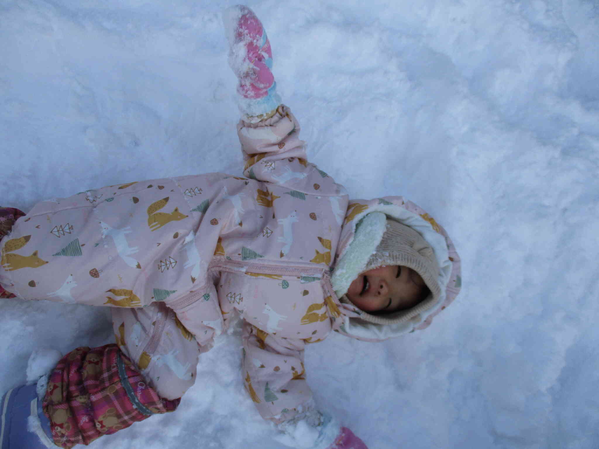 ダイナミックに雪の上を全身を使ってゴロゴロ～！と転がって楽しんでいました！