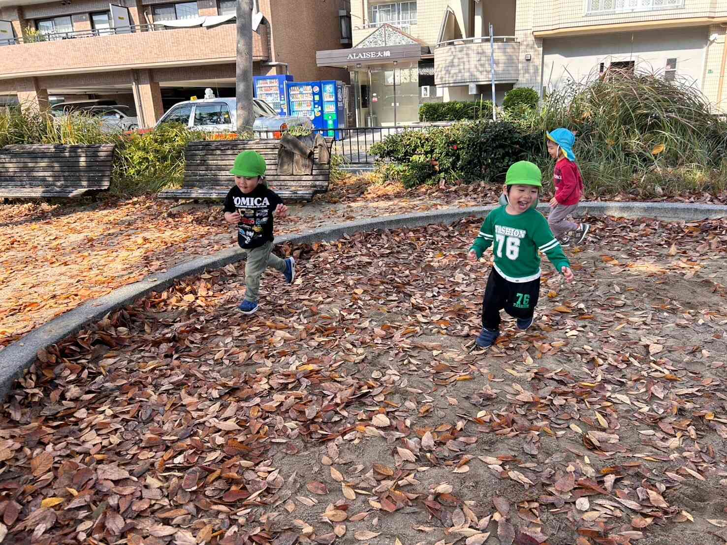 落ち葉がたくさん！