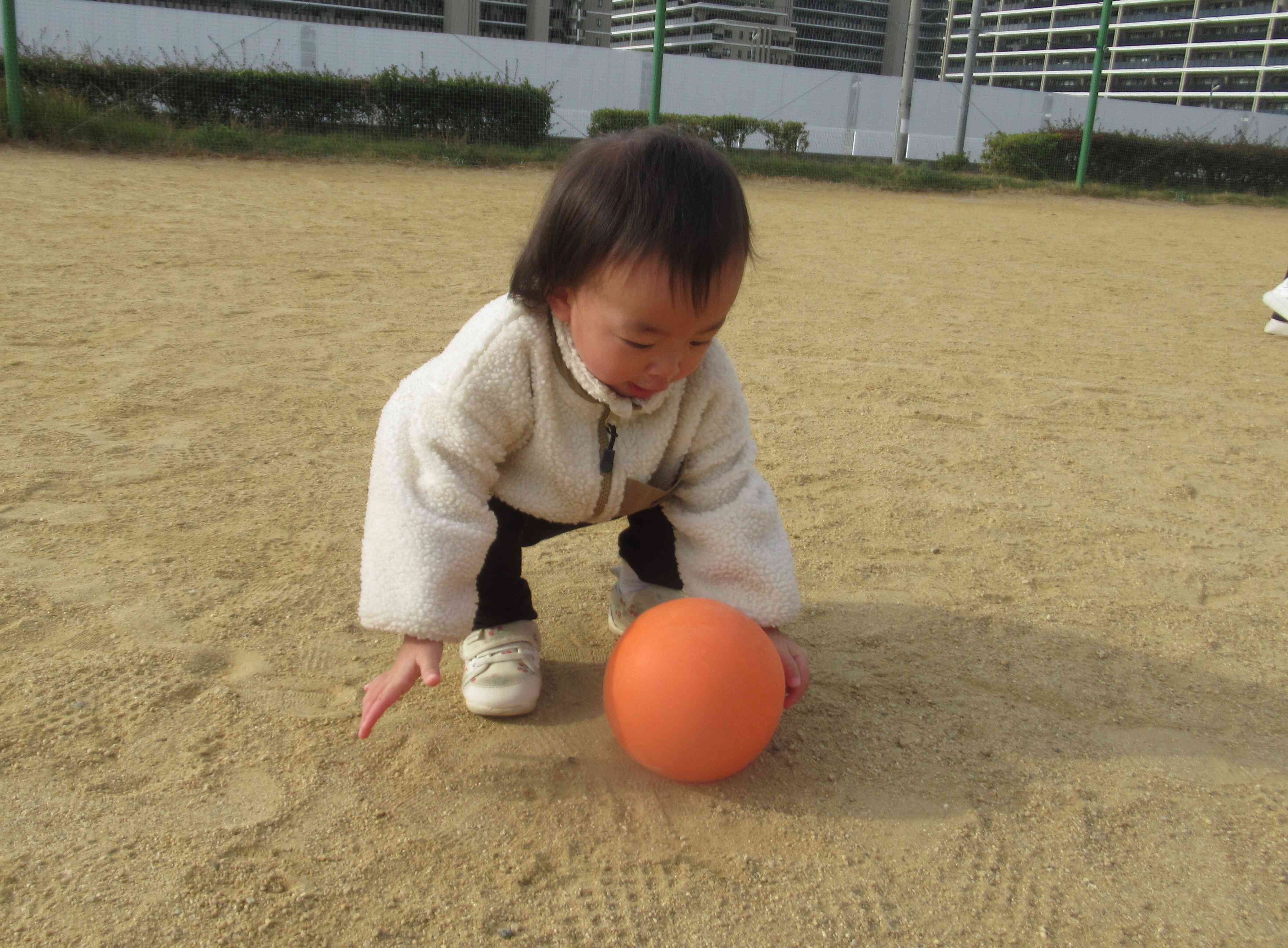 ボール、みーつけた！