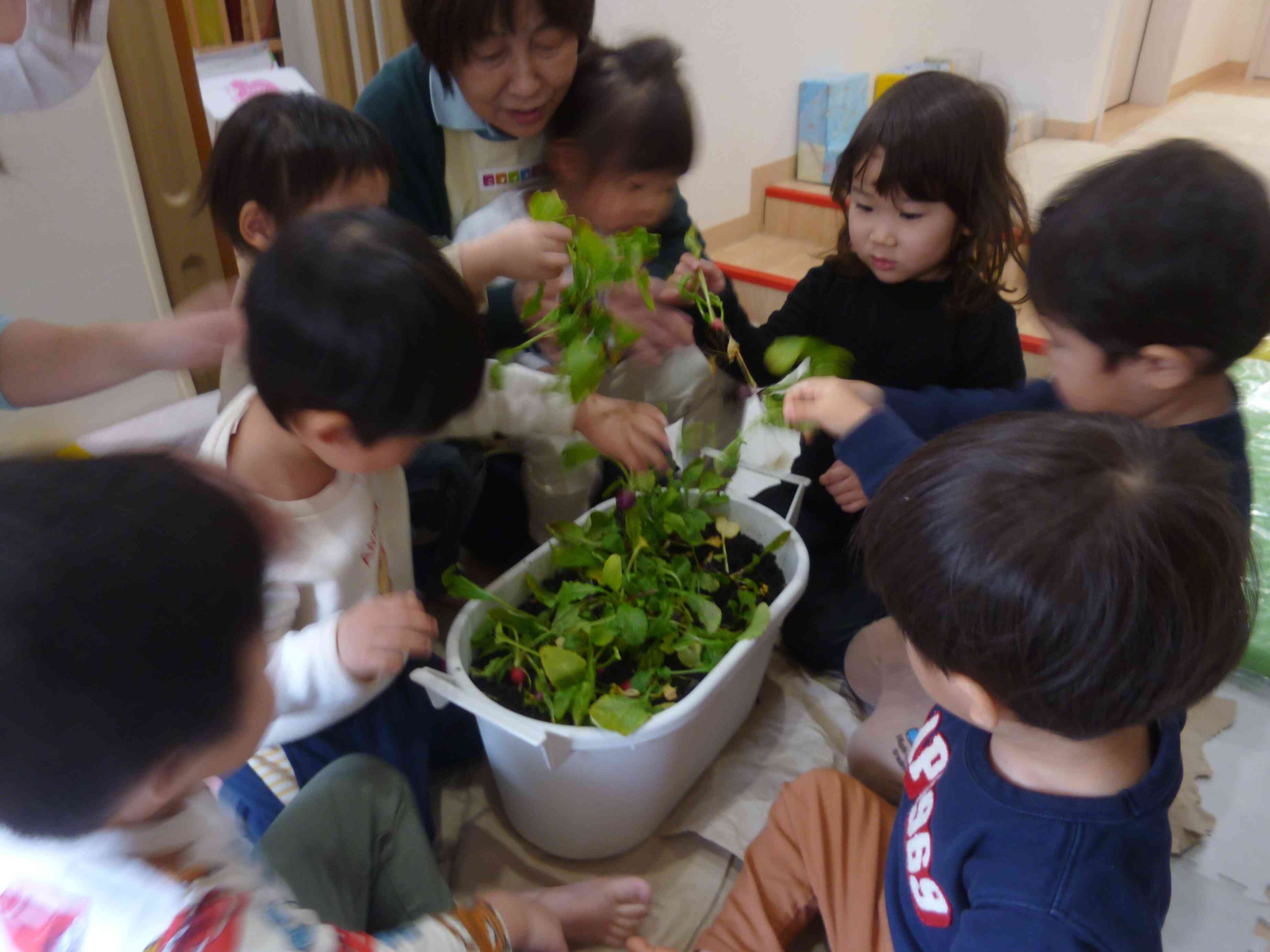 うさぎ組のお楽しみ