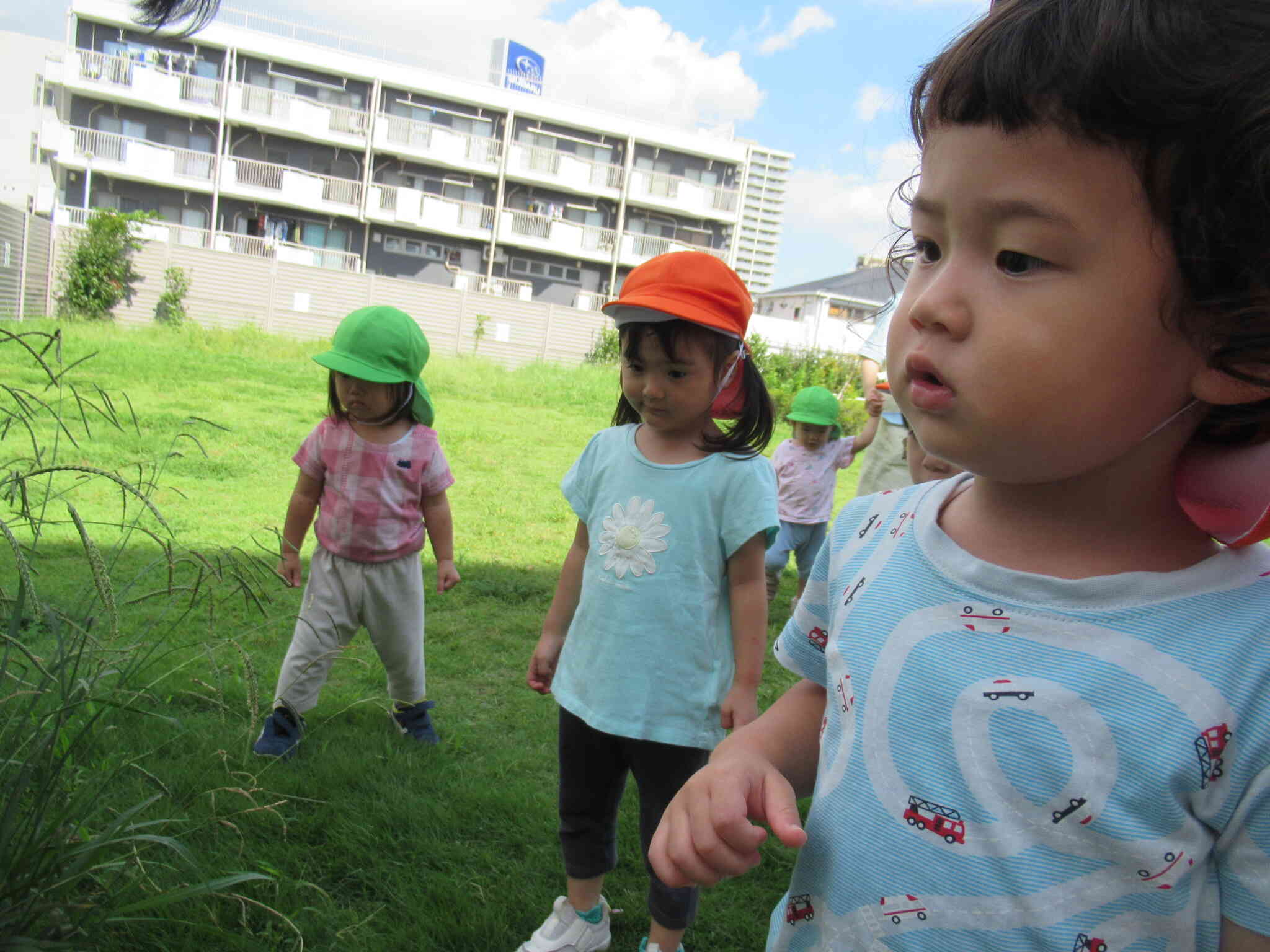 ２歳児　お散歩