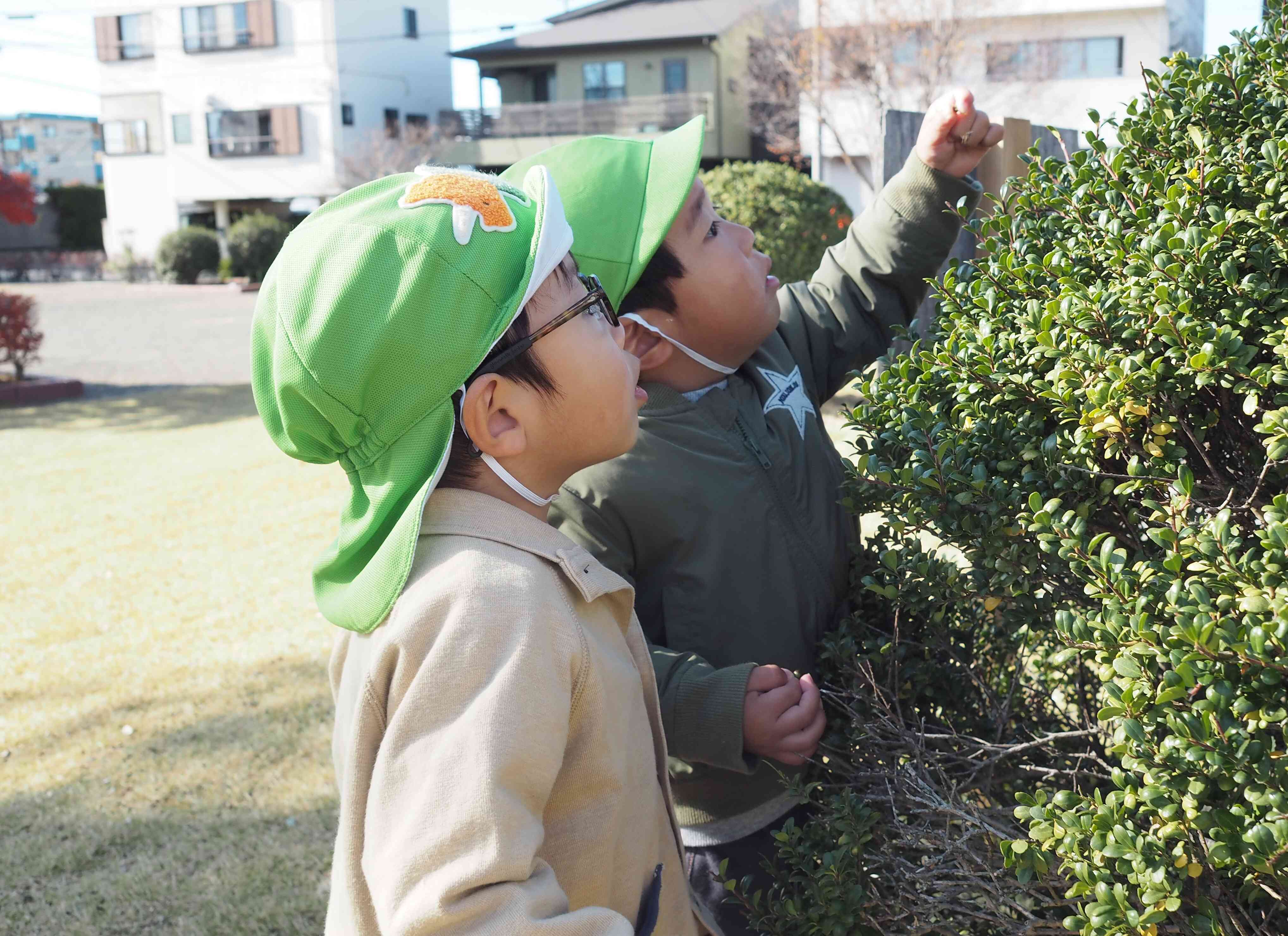 実がなってるよ