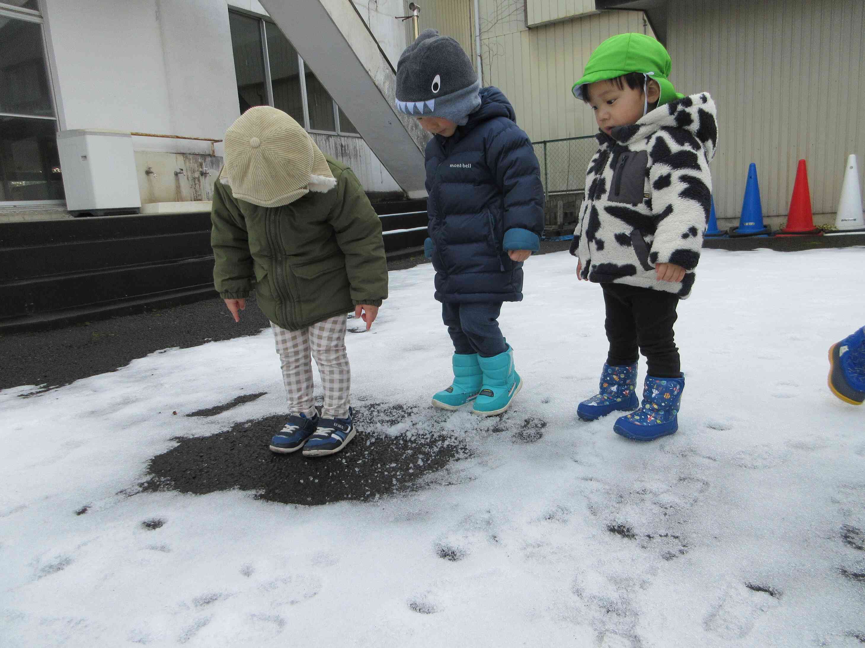 ここだけ雪が無い！何でかなぁと不思議そうな子ども達