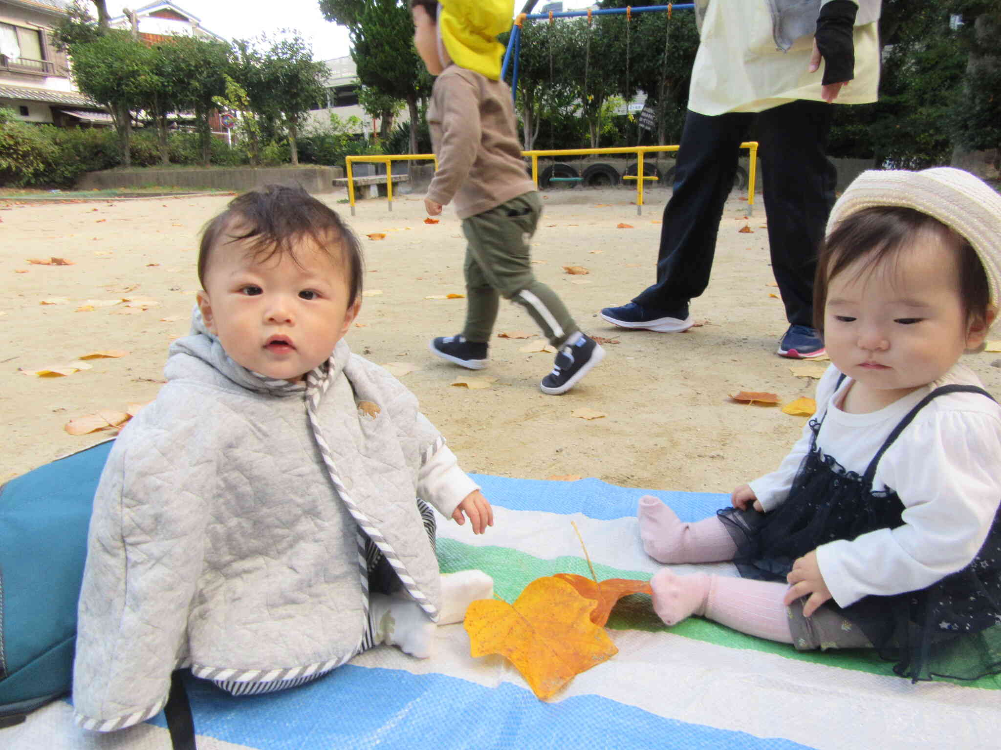 シートの上で公園デビュー！