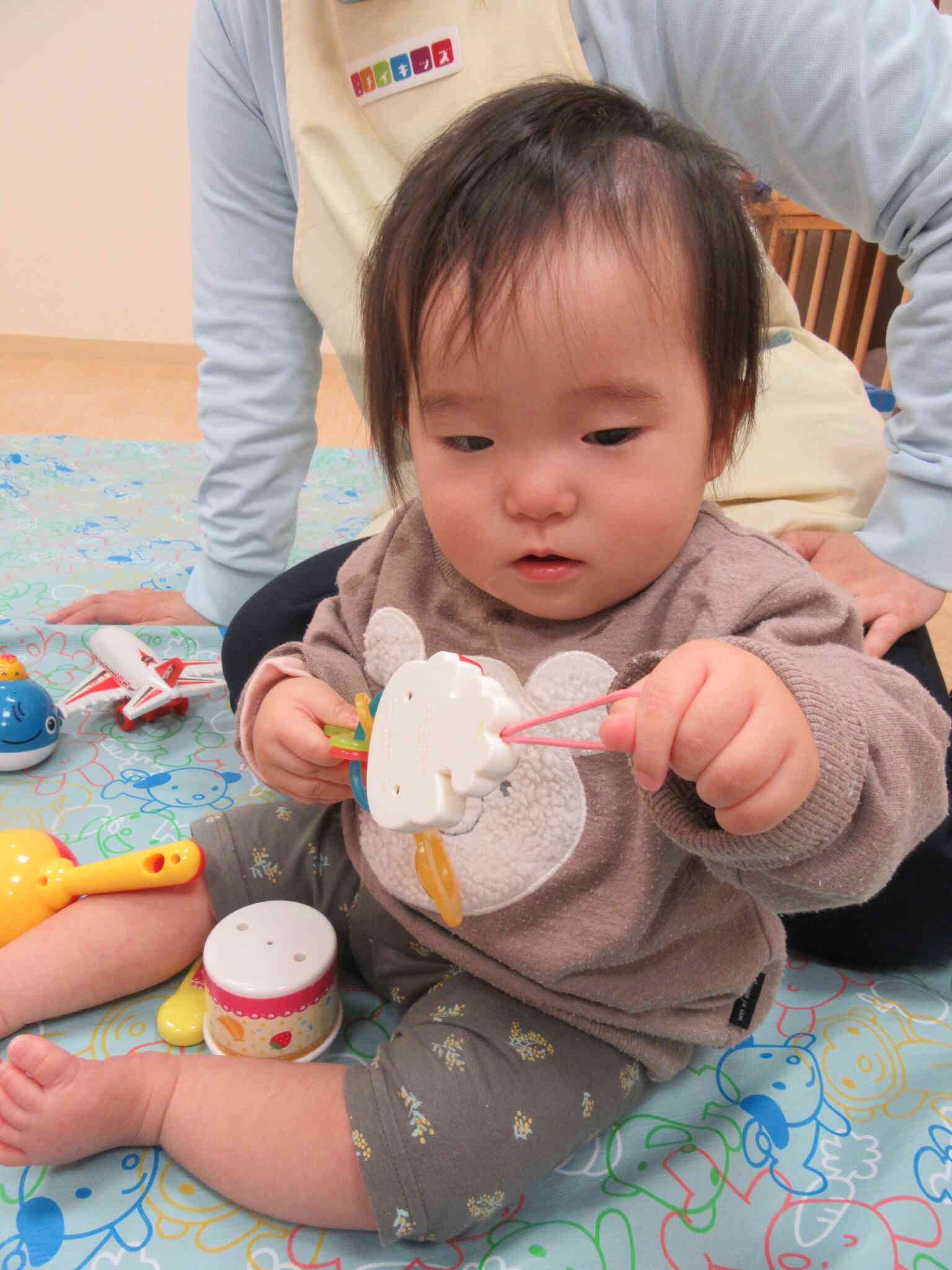 これはなんだー？　新しいおもちゃに興味深々。