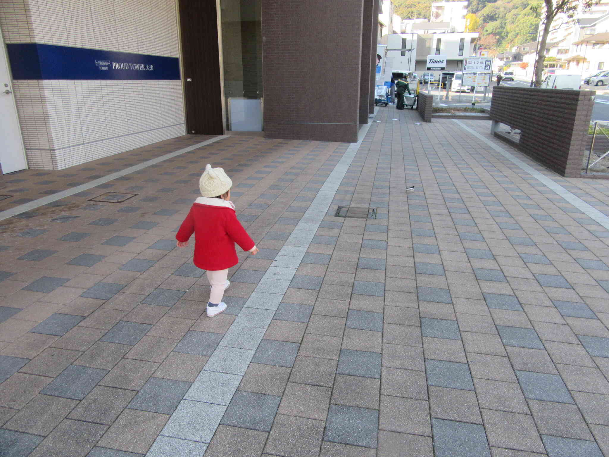 とりさん待ってー！　気晴らしに少しさんぽに行きました。