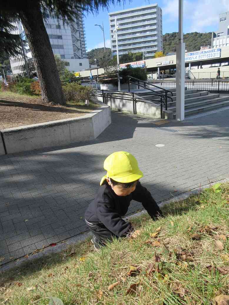 公園内のいろんな場所がアスレチックに変身！