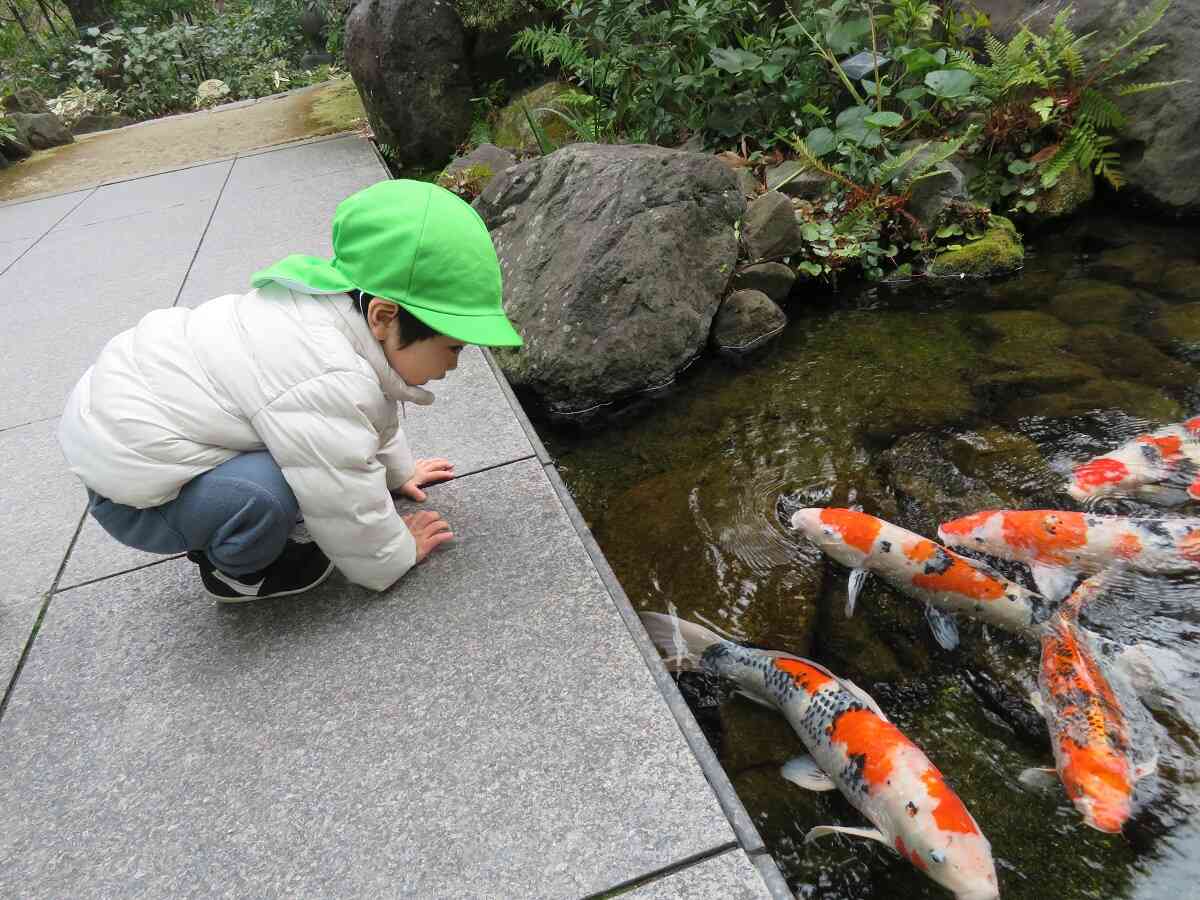 「おさかなさーん！」