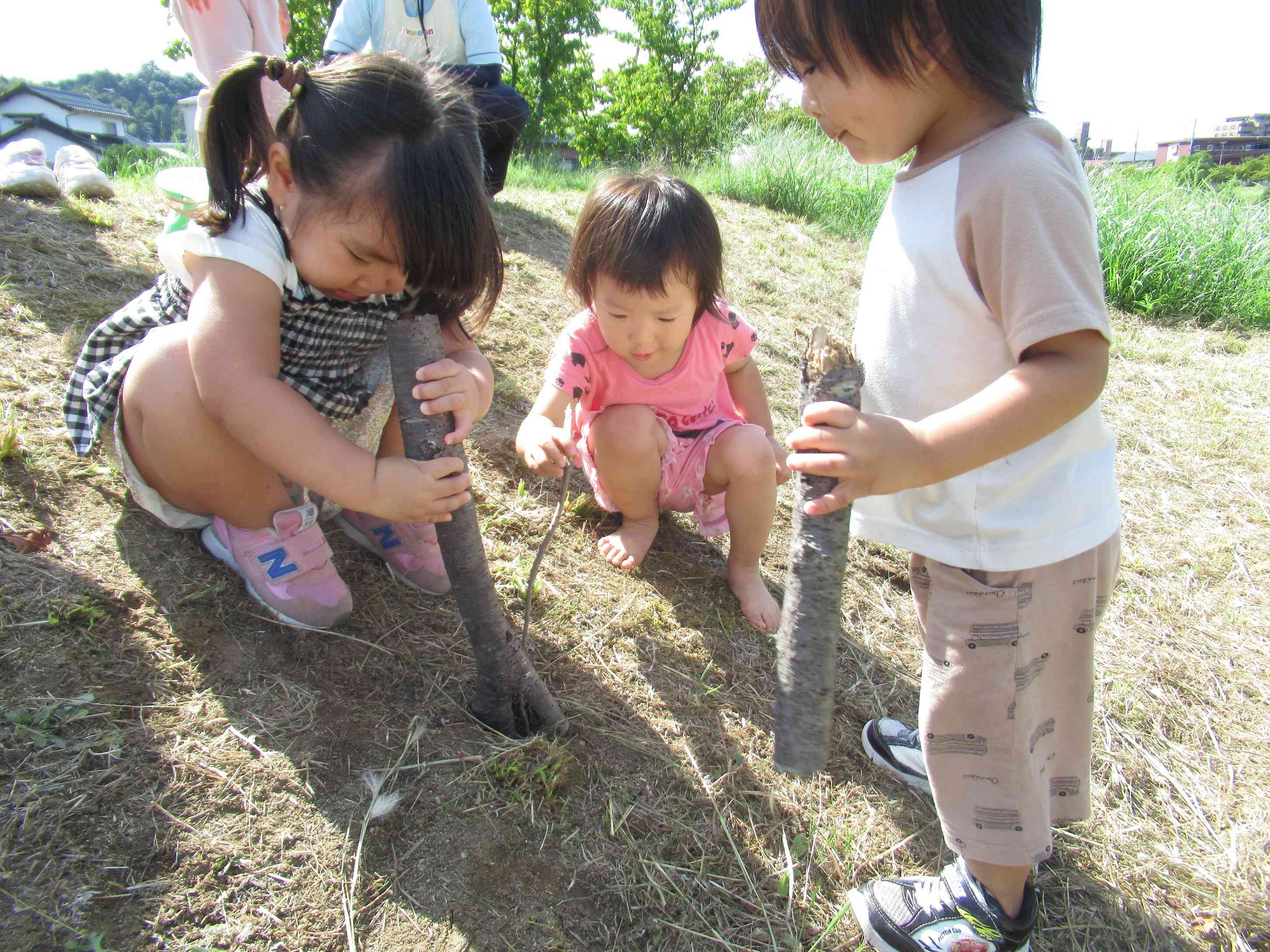 大きな穴を見つけました。　何が入っているのかな？