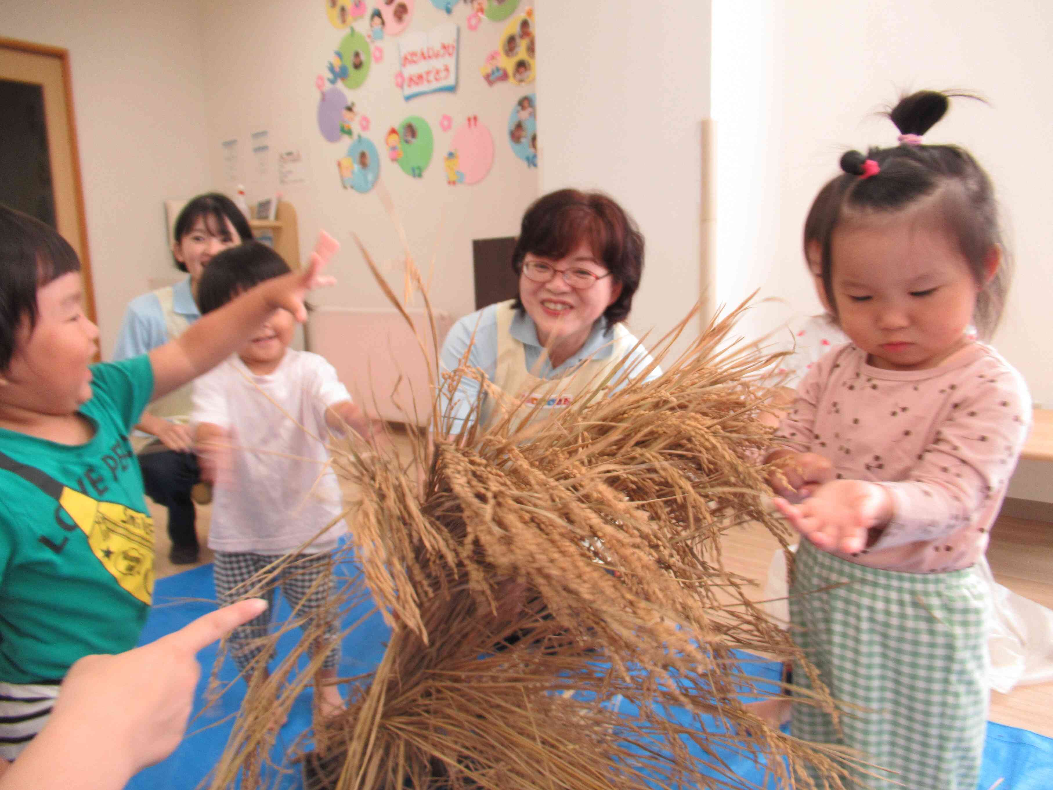 中にお米ができるんだよ