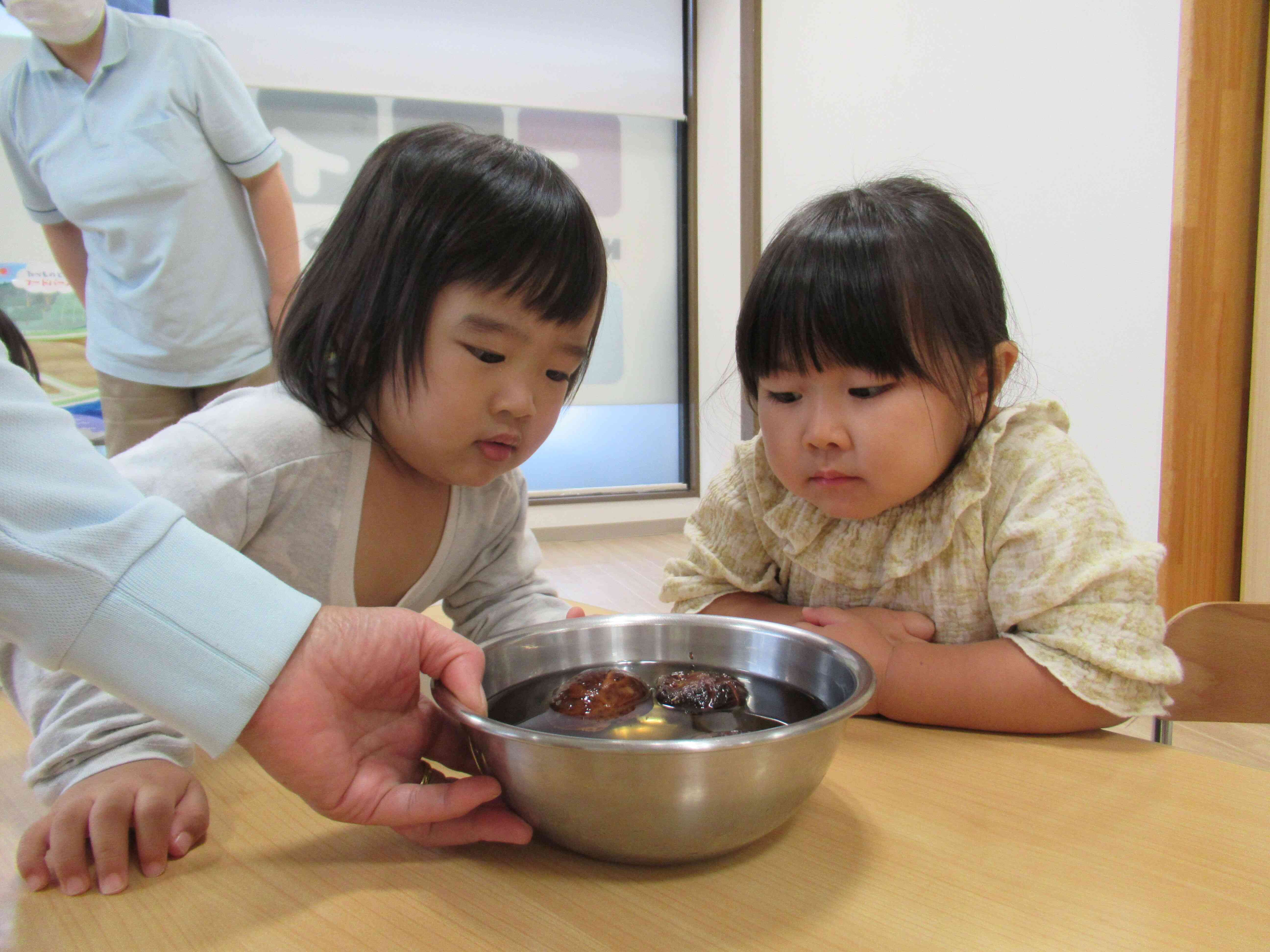 硬い椎茸はお水に入れて柔らかくしてから使うんだよ。浸けたお水（戻し汁）も大切な出汁になるんだよ。