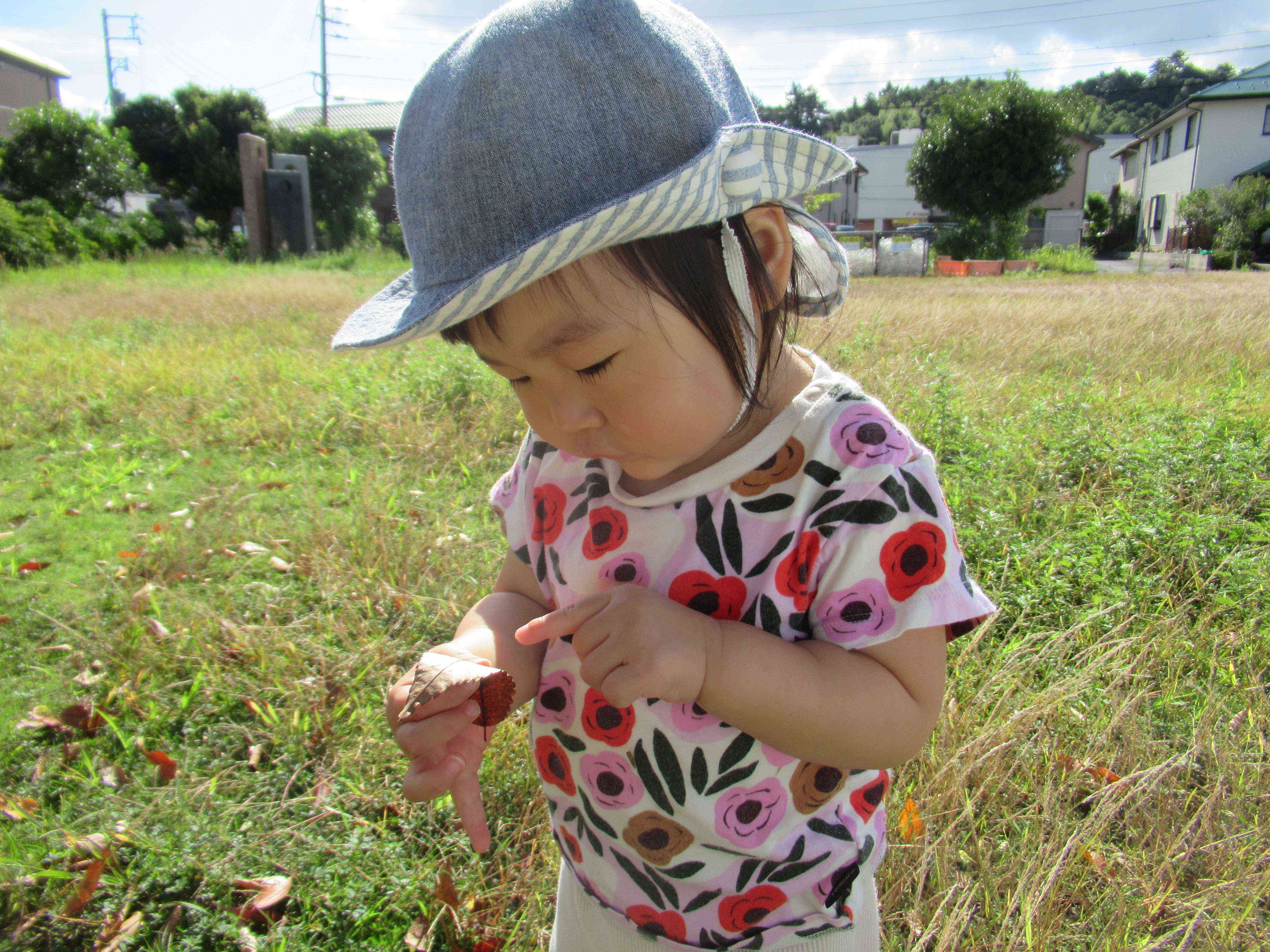 落ち葉に興味津々。“これはなんだろう…”