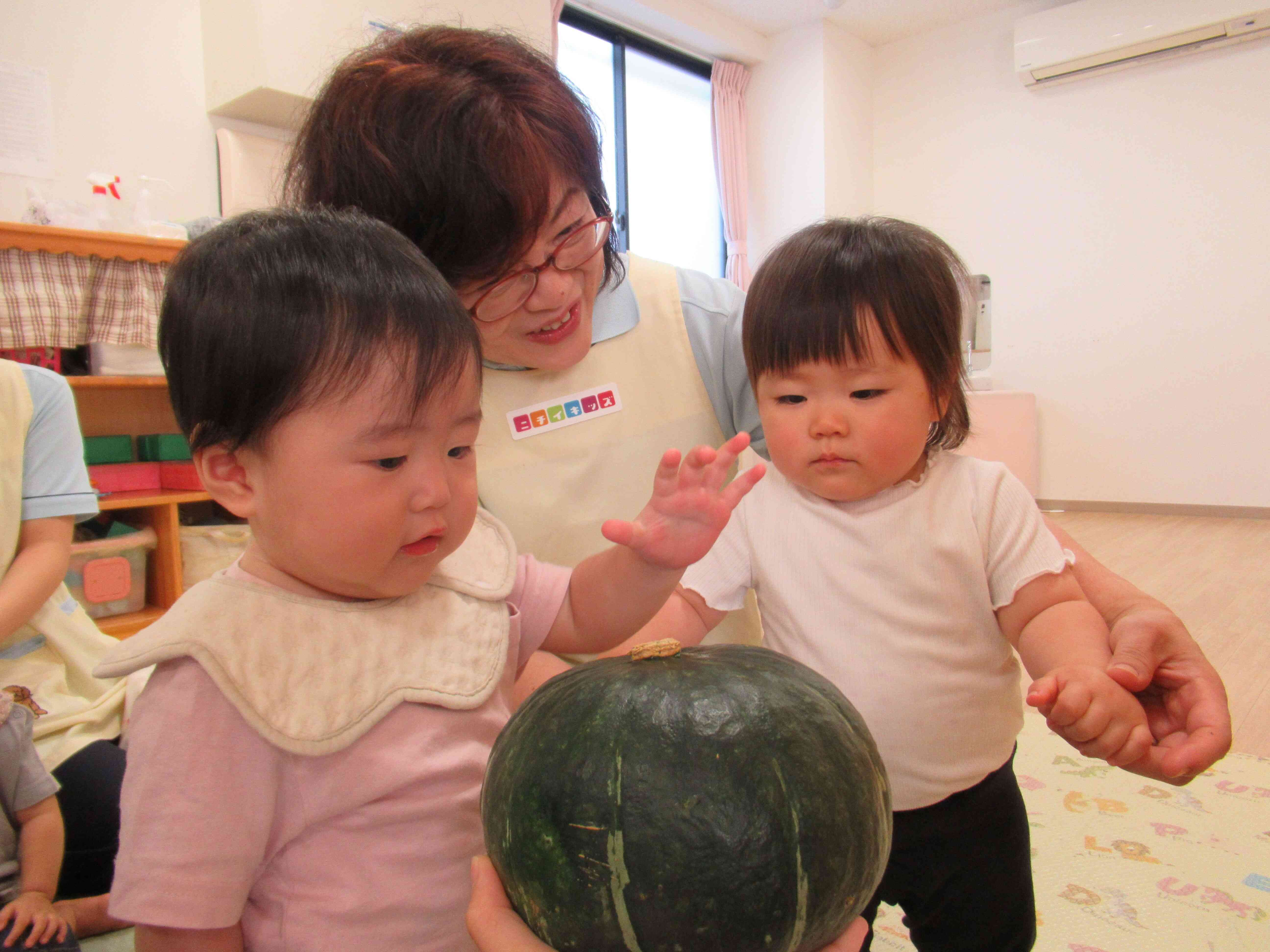 0歳児、ひよこ組のお友達もカボチャを触ってみましたよ。