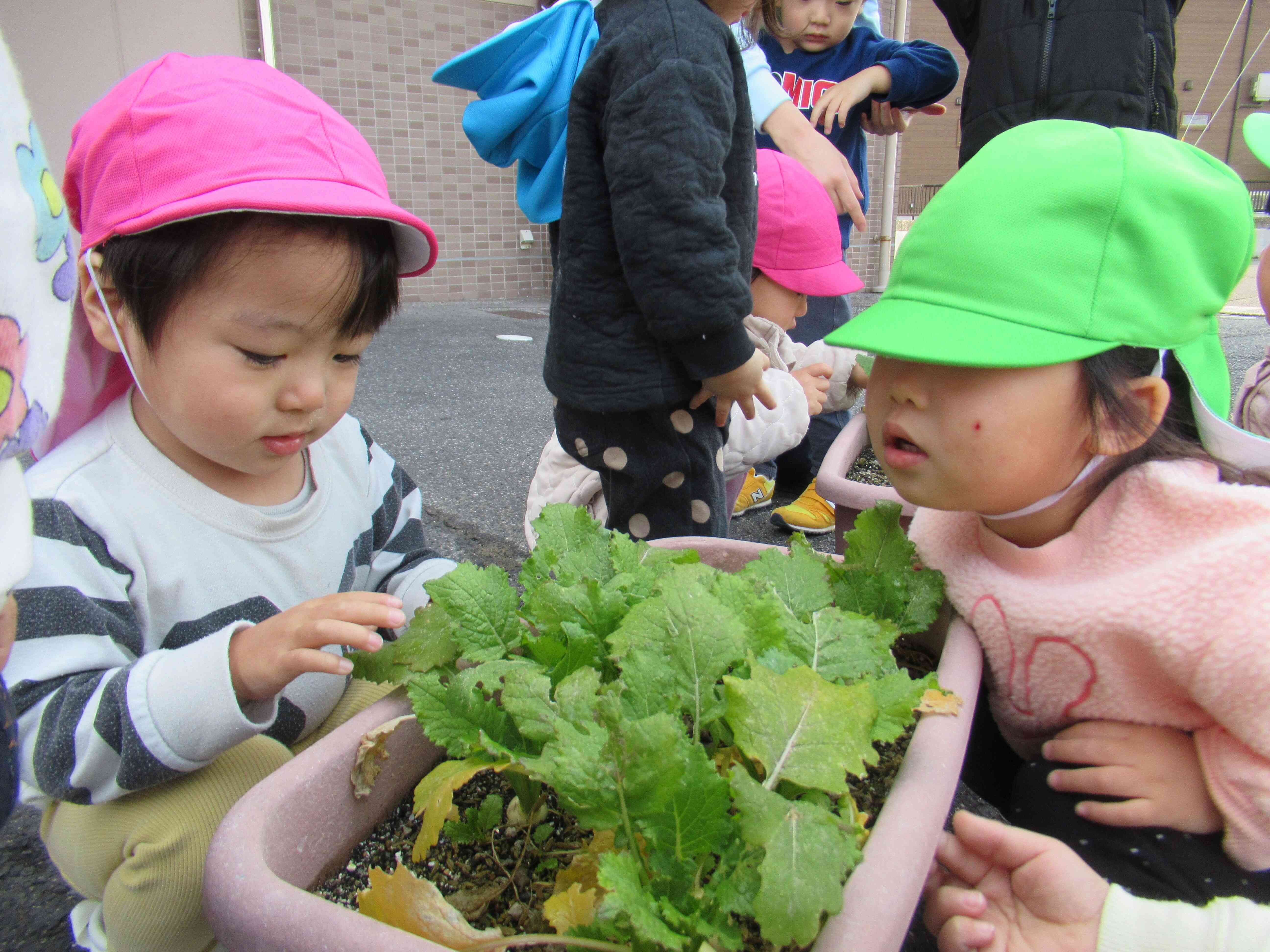 大きくなったかな？