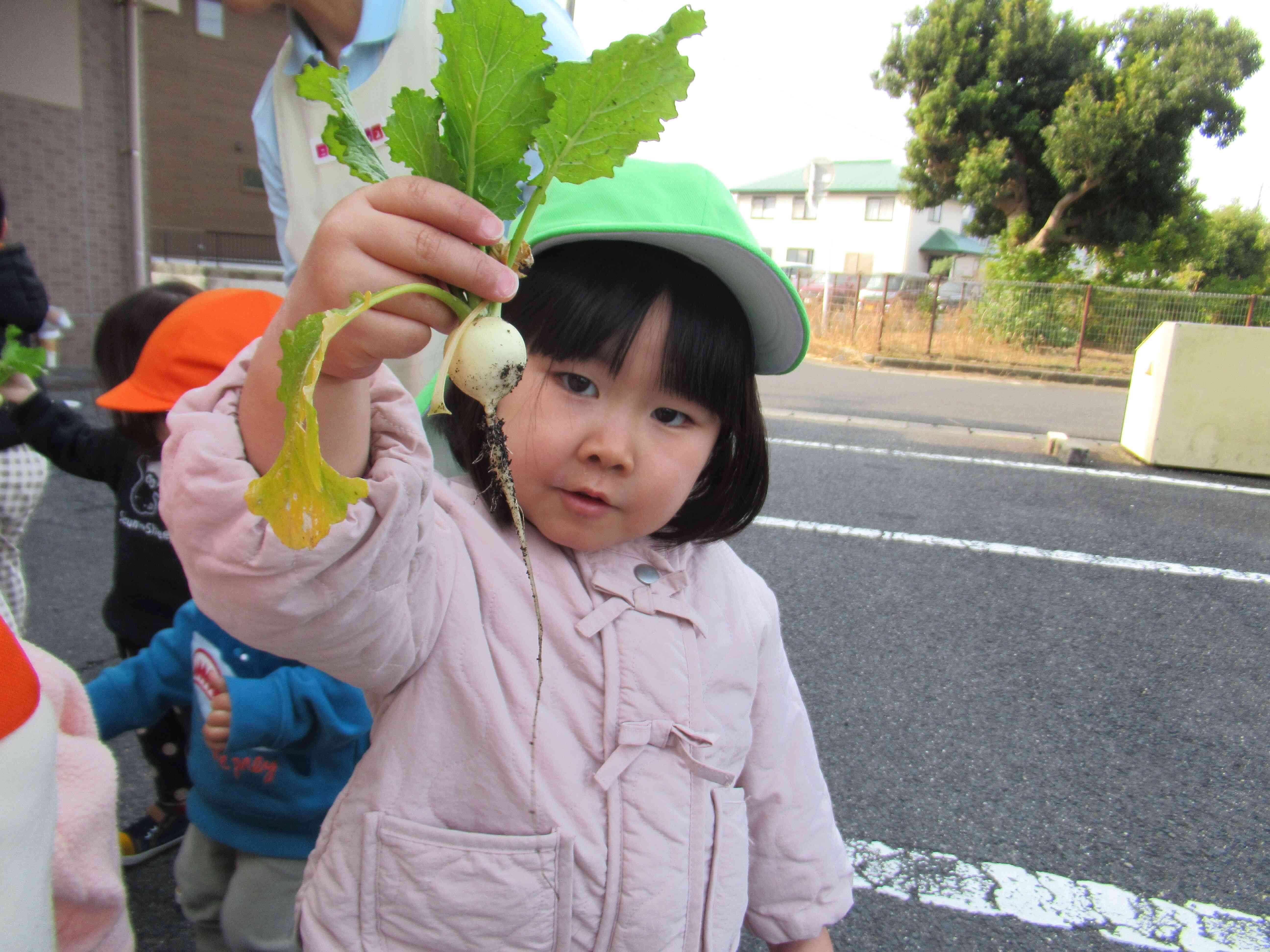 カブができたよ