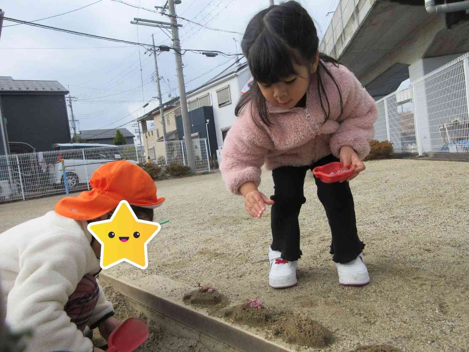 摘んだお花を砂場で並べて♪