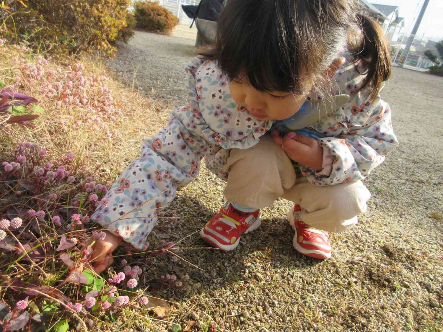 お花を摘むお友だちも⚘