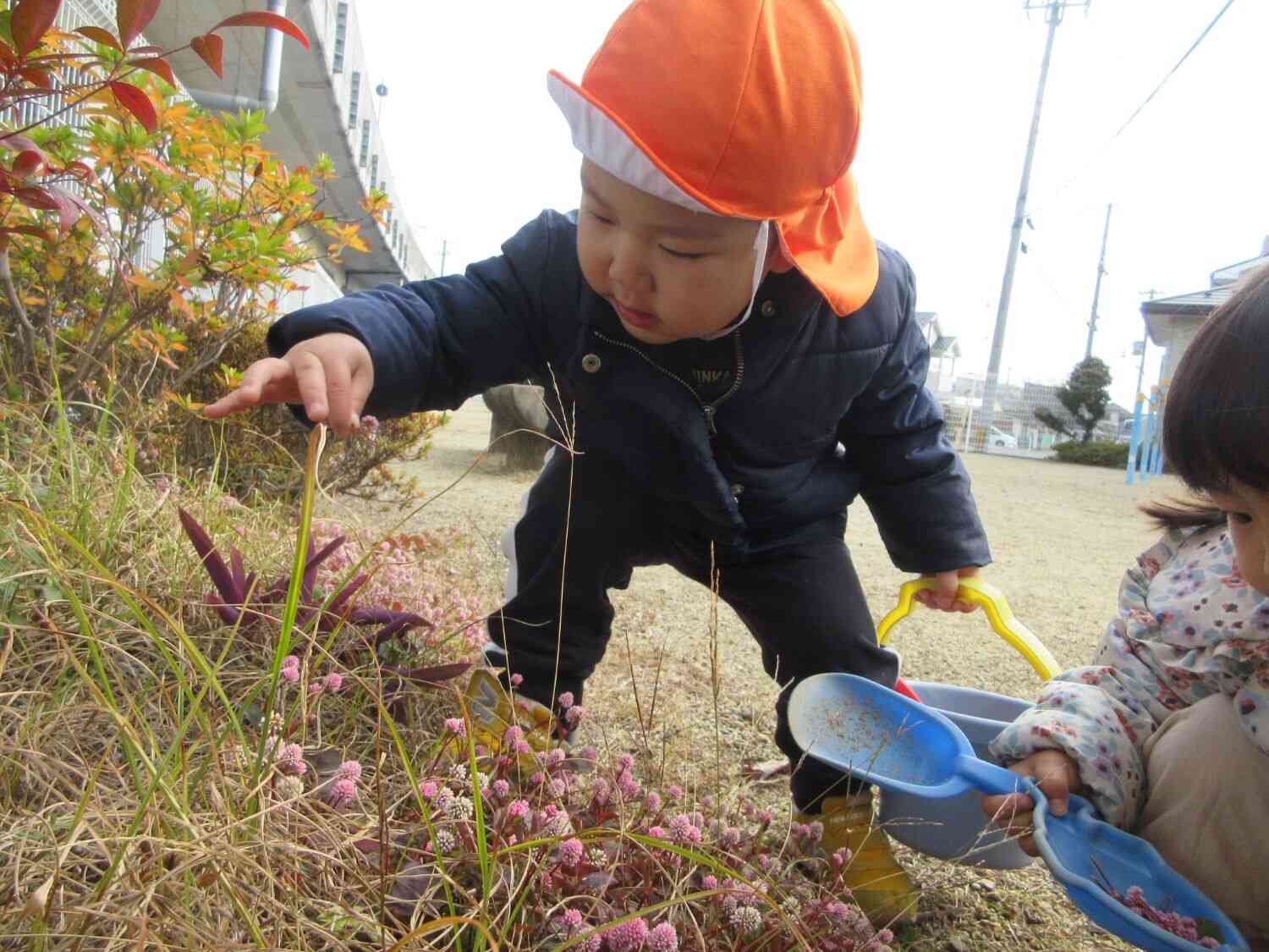 可愛いお花、一緒に摘んだよ◎