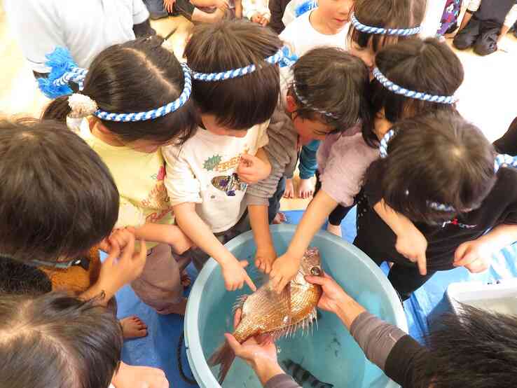 お魚をさわろう