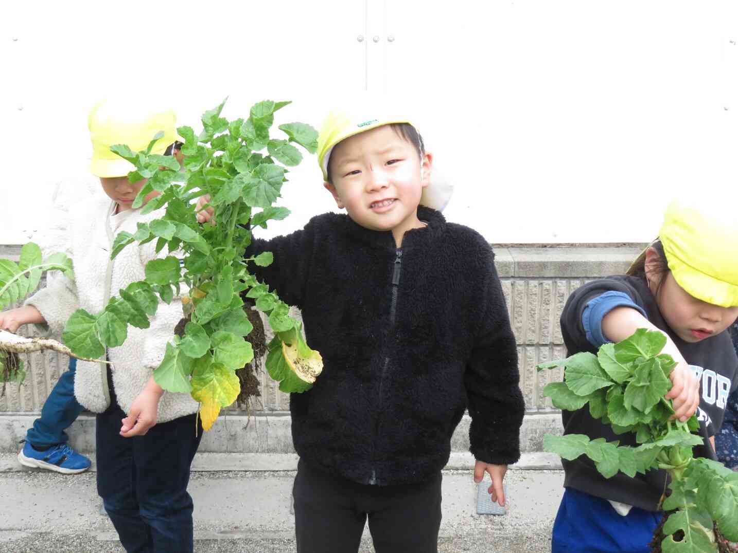 給食の先生、この大根で美味しい給食作ってね☆