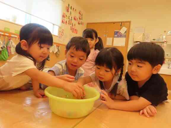 寒天あそび！３歳児