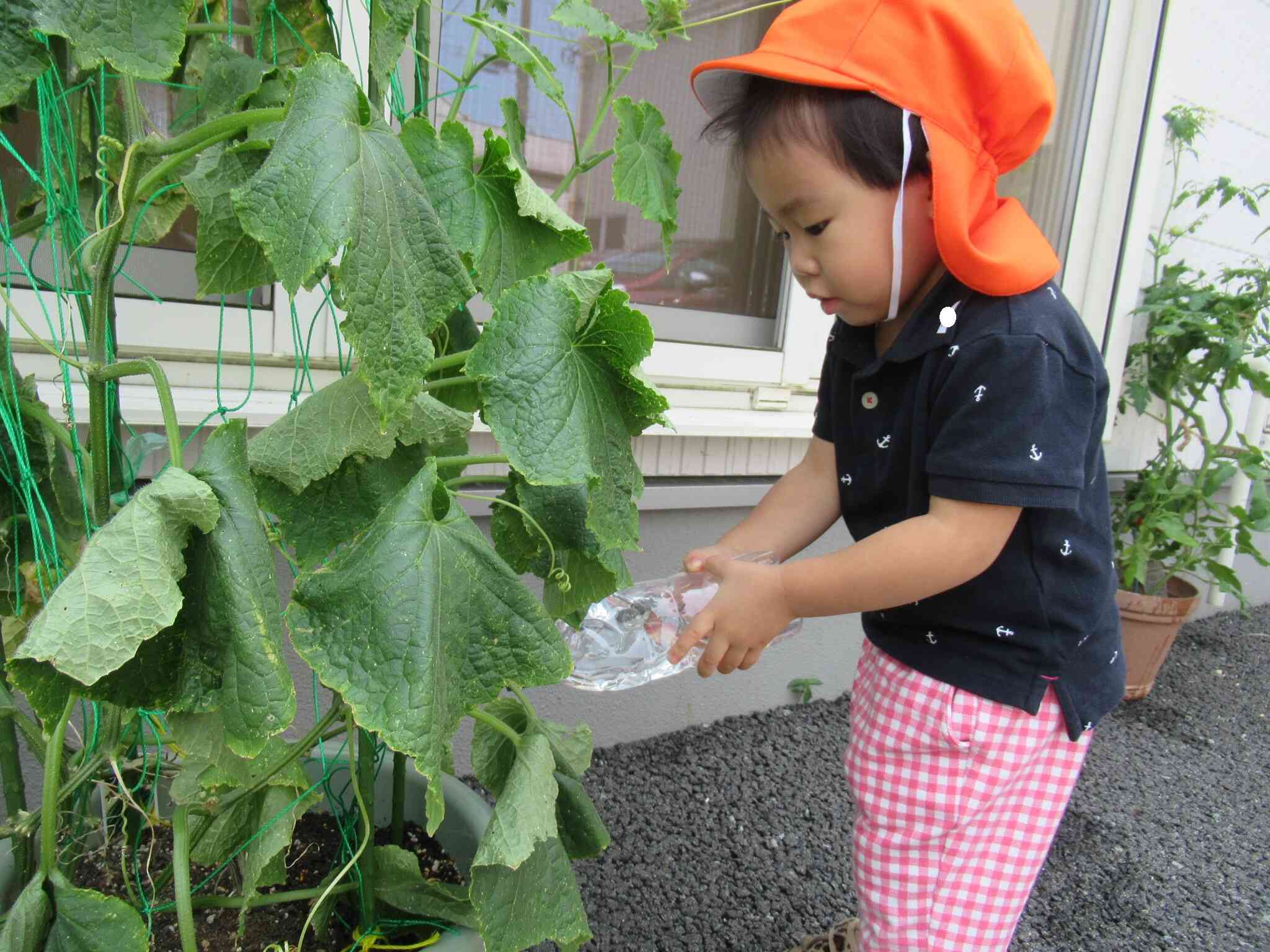 専願はもちろん、他園との併願申込もOKです☆彡