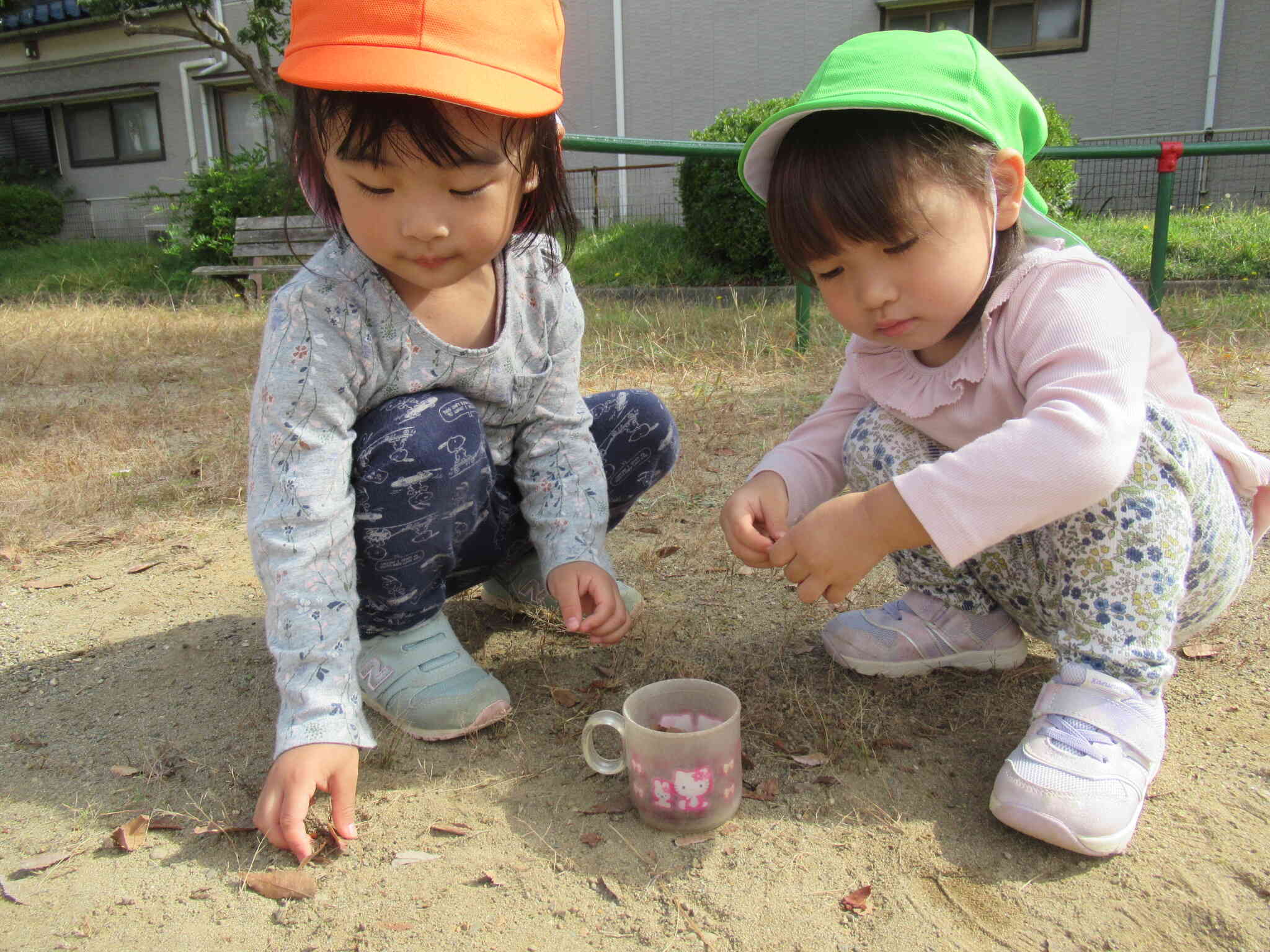 コップにたくさん集めよう！