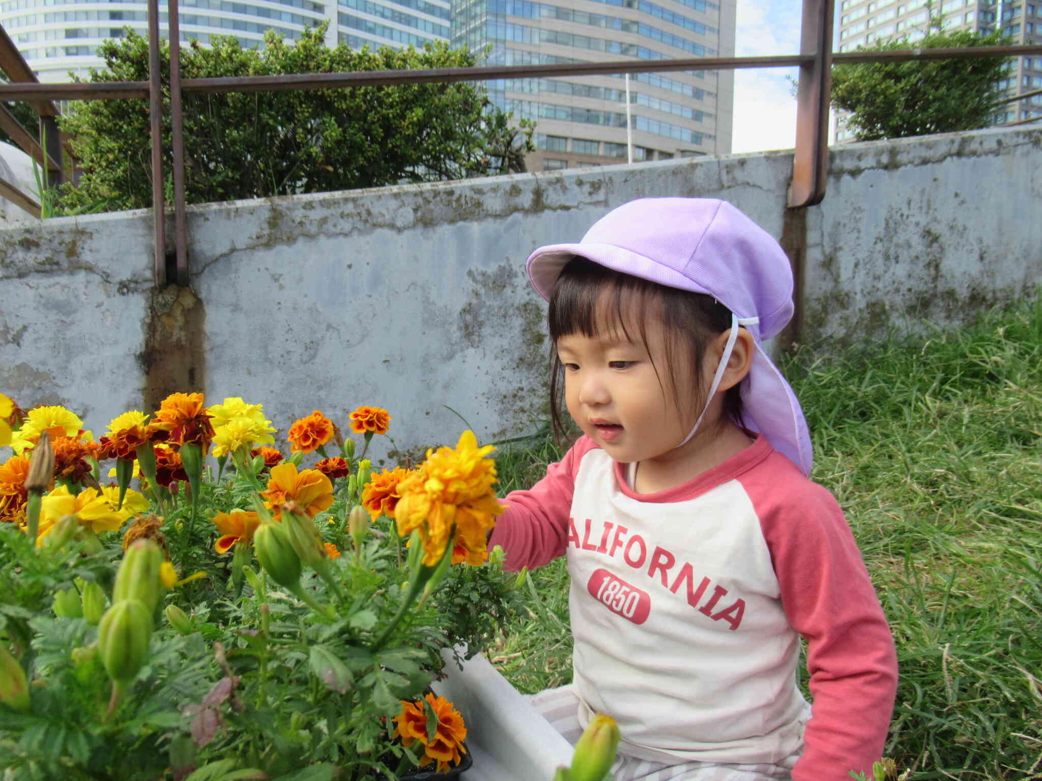 きれいなお花がたくさんあるね♪