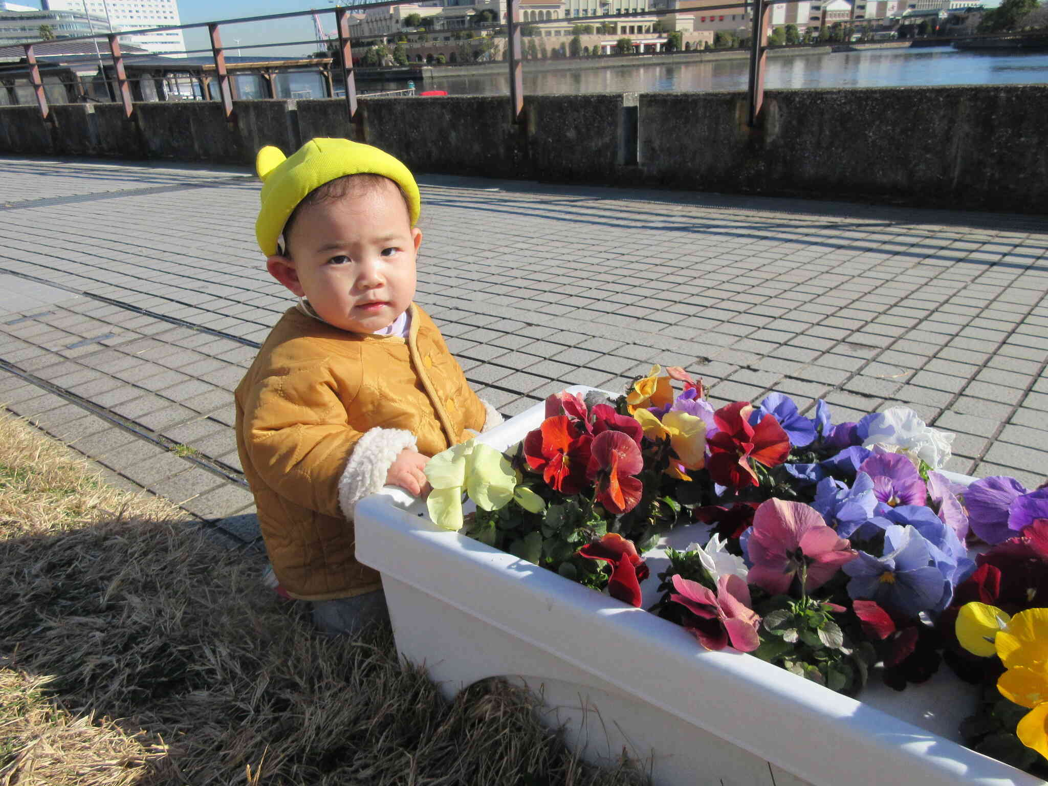 これは何のお花かな？