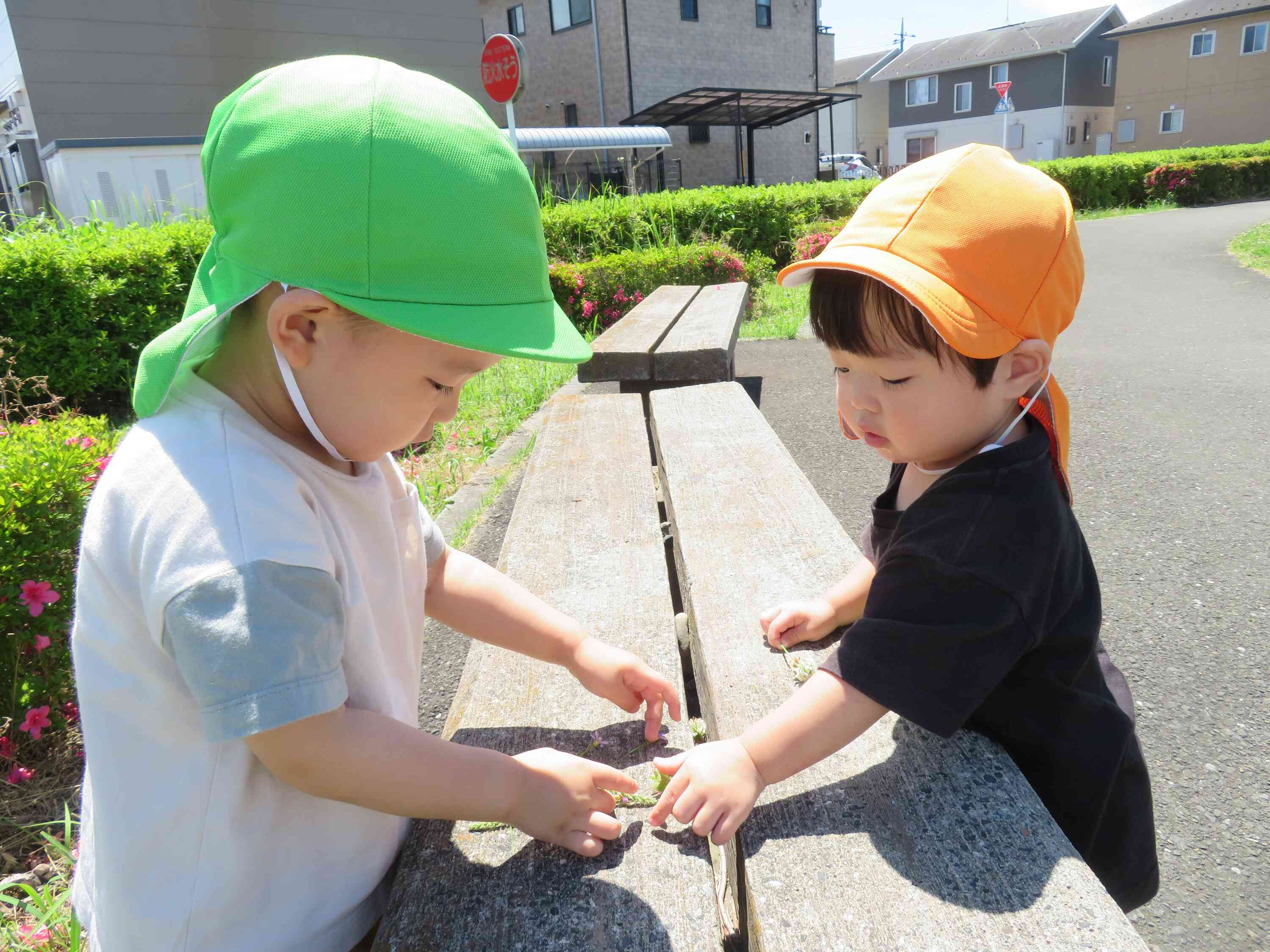 近くの公園に行って、戸外遊びも楽しんでいます。