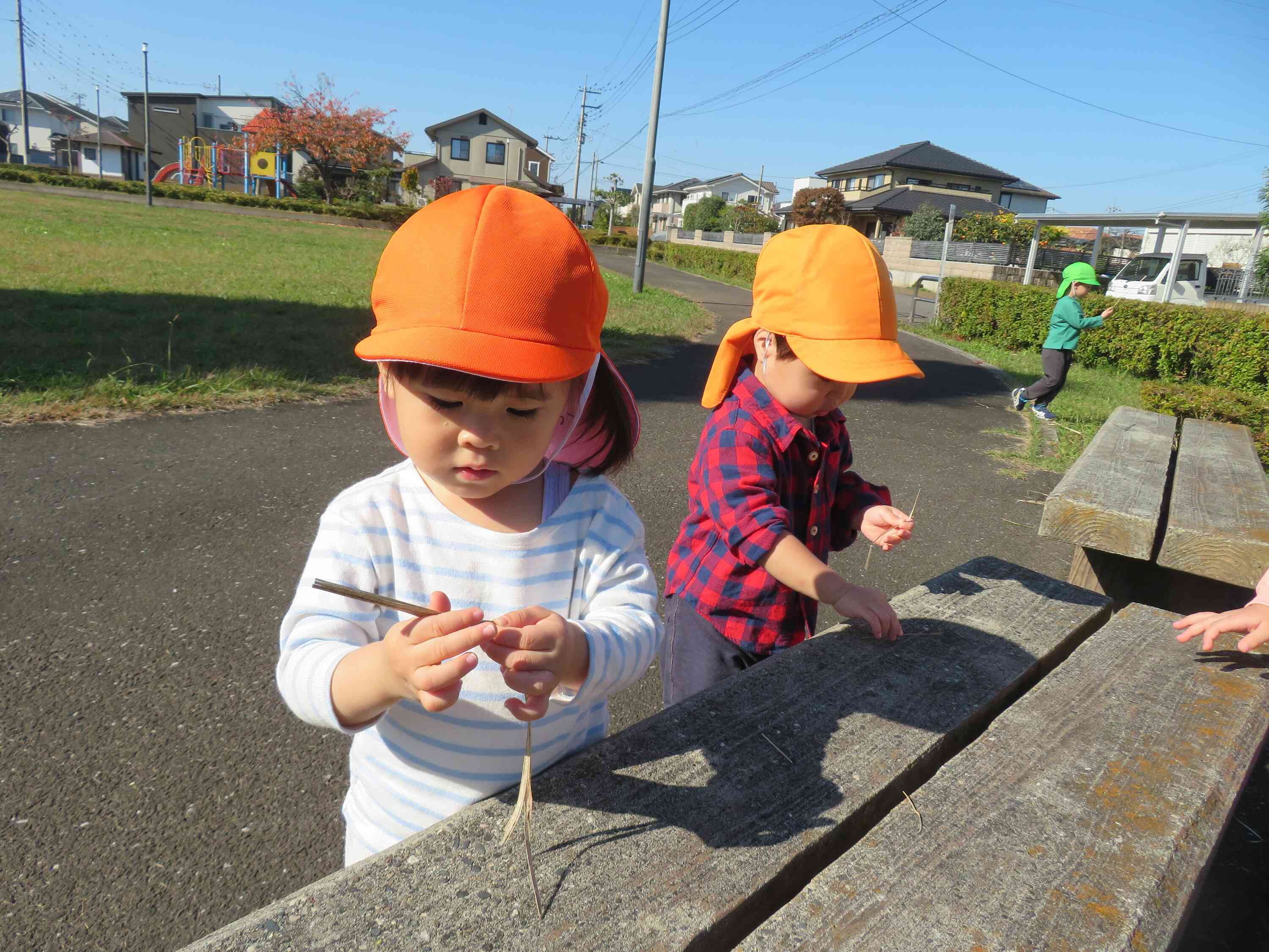 木の枝や葉っぱを見つけ、触って感触を味わっていました！