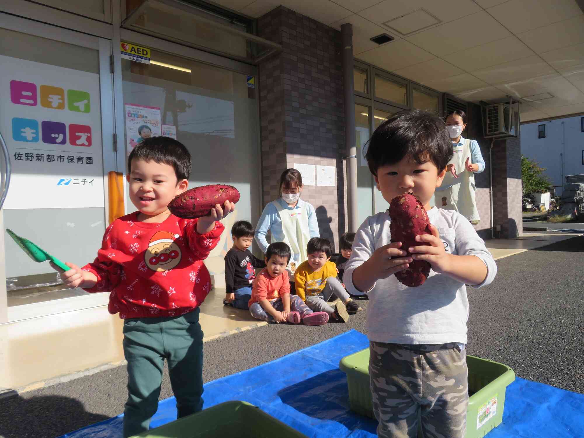 おおきなさつまいもが掘れたよ！