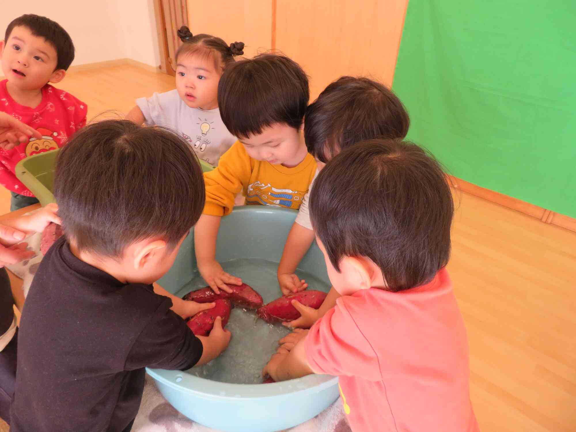 掘り出したさつまいもは、水で洗ってきれいにしました！