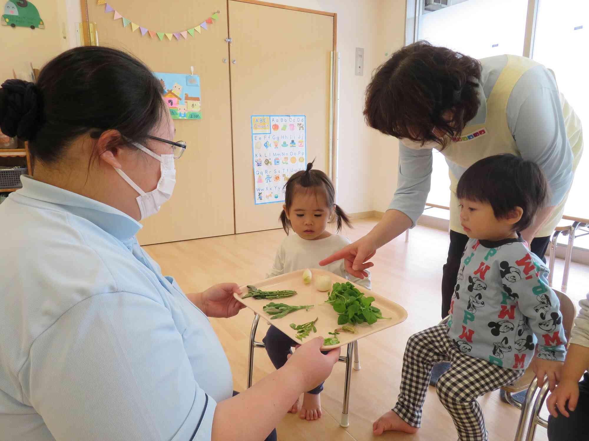 今日は、七草の日です！