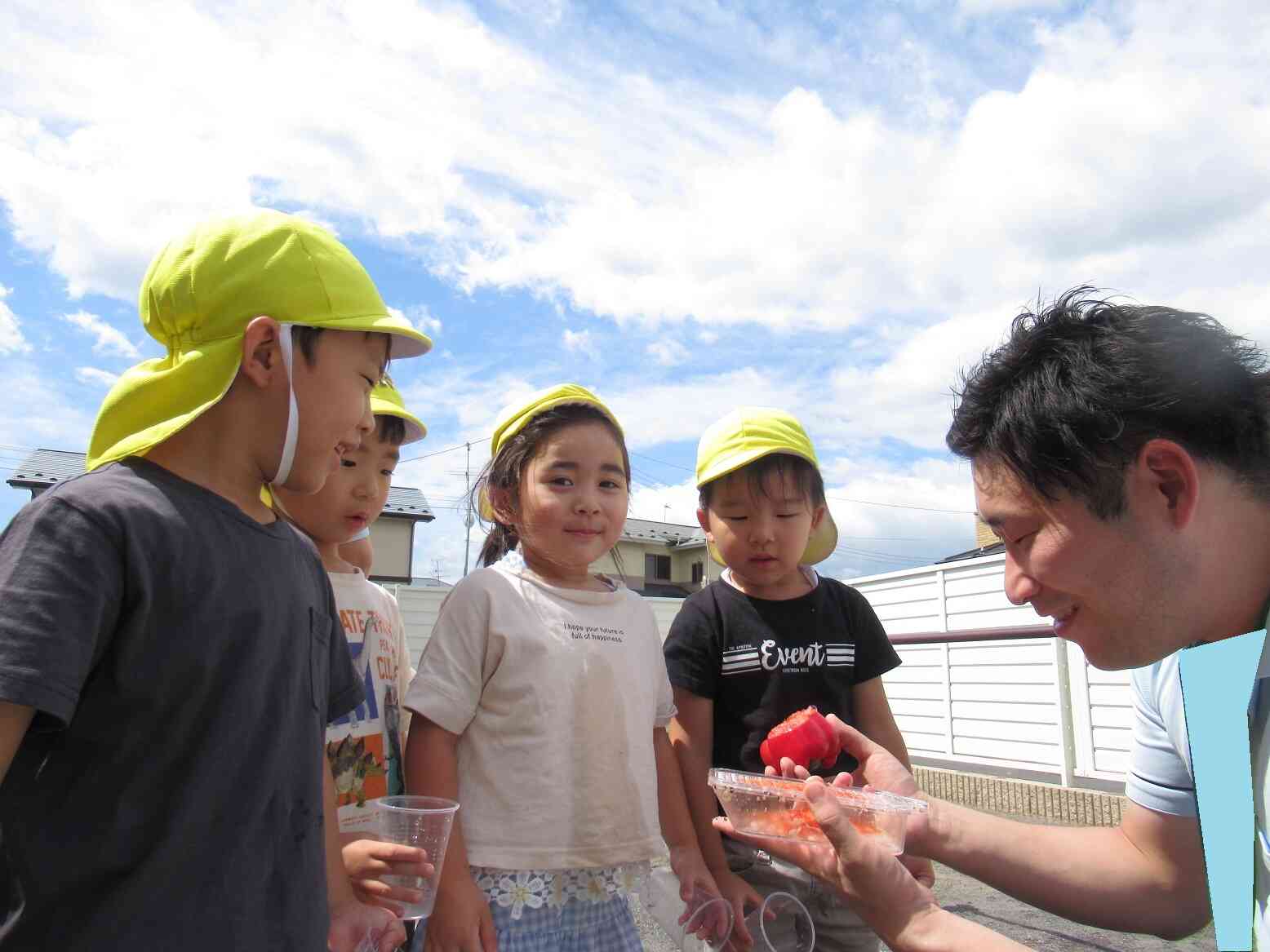 お野菜だと、どうなるの？？