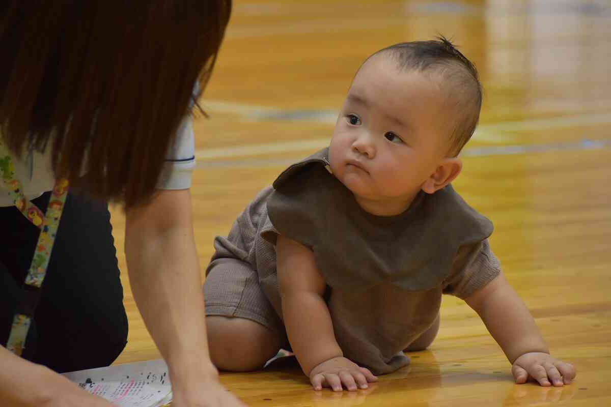 頑張れひよこ組さん♡